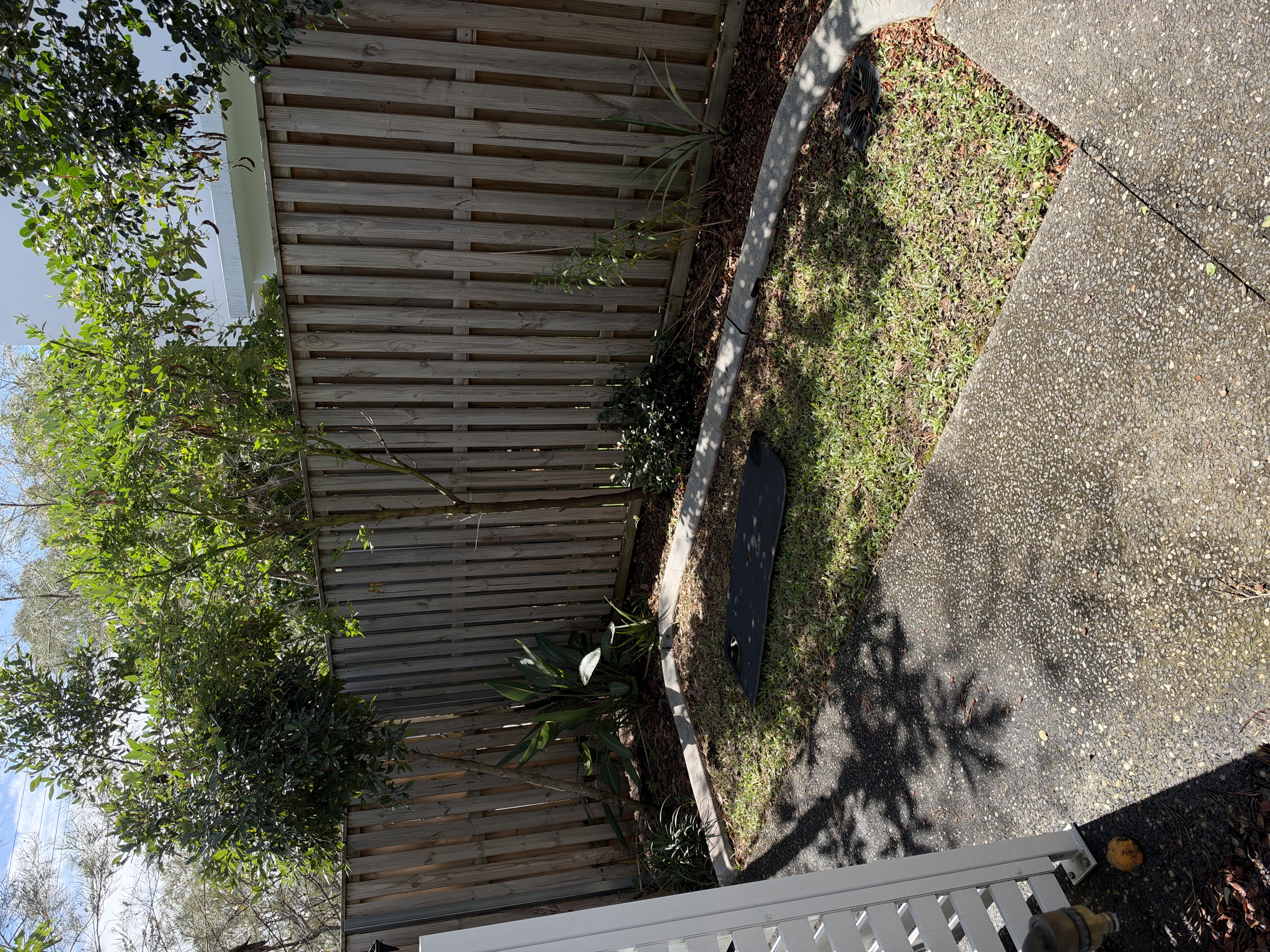 image-16