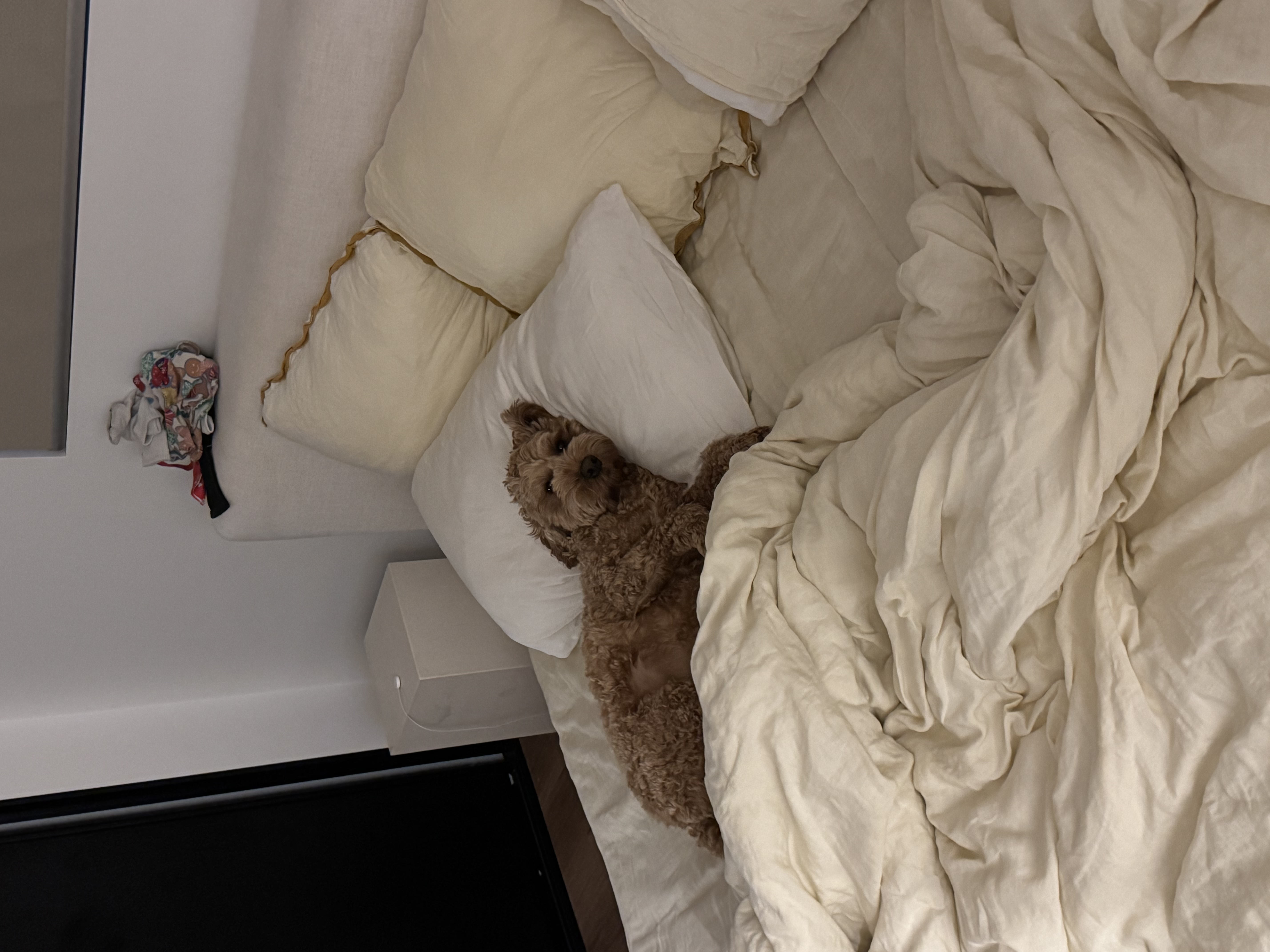 image-16