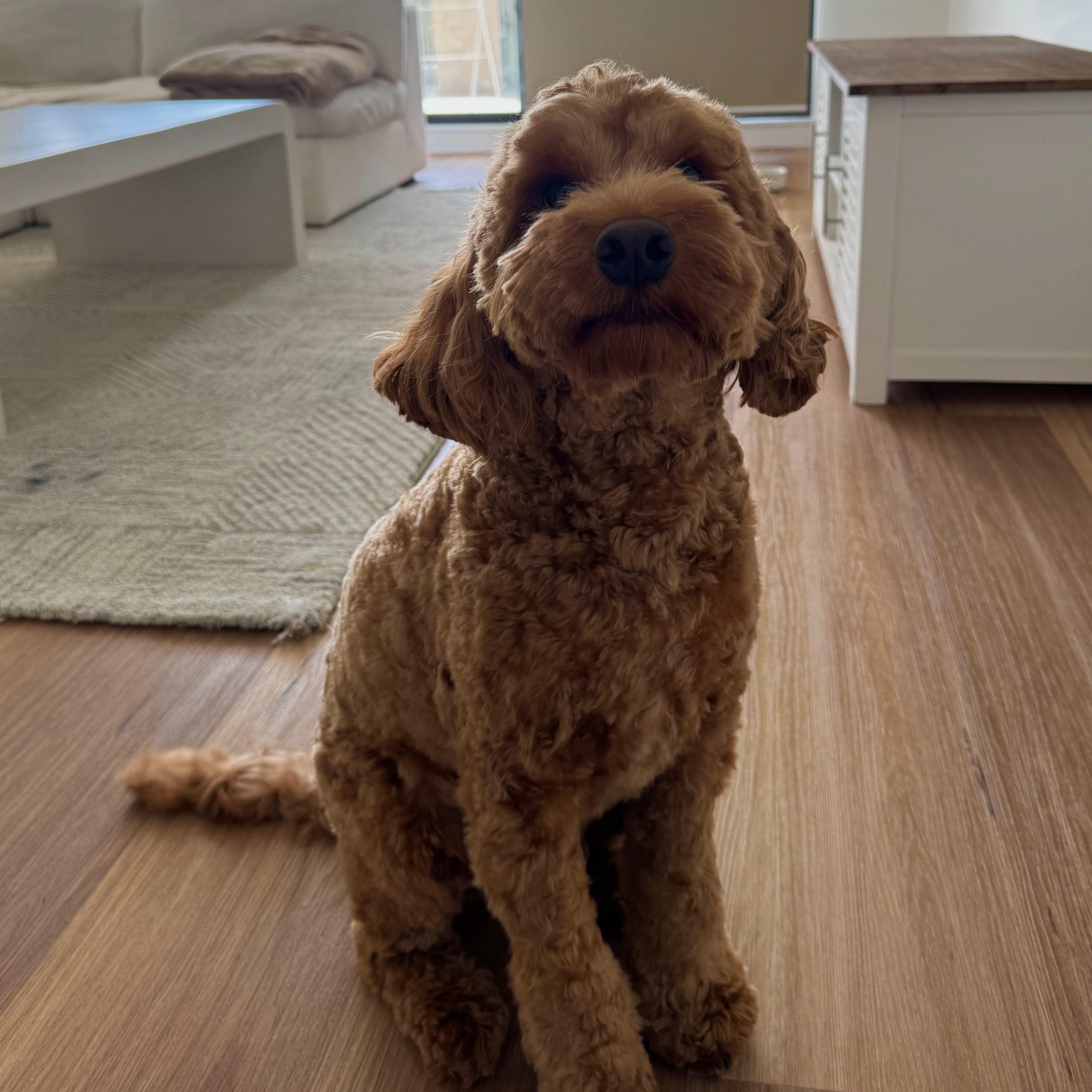 Pablo