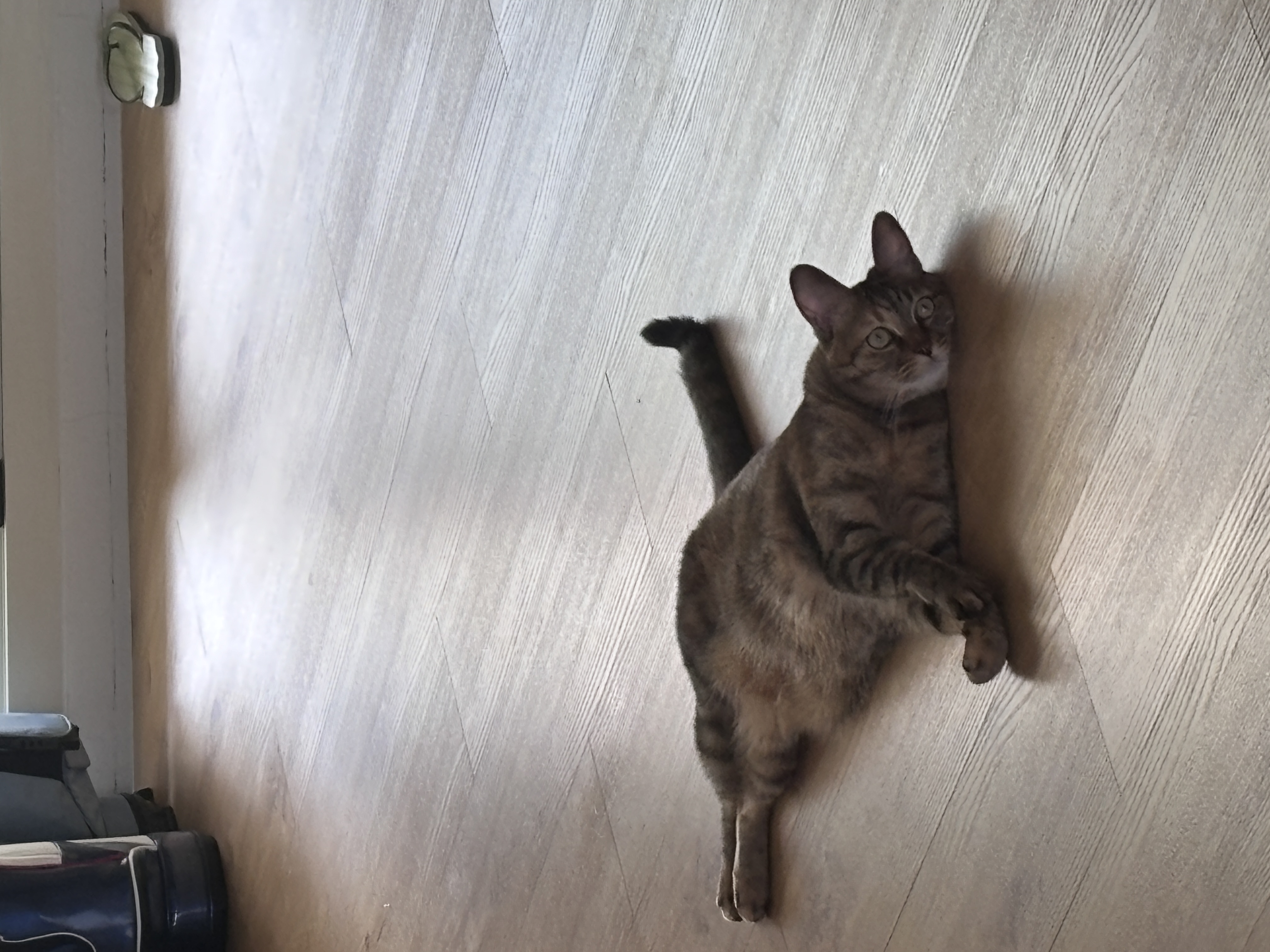 image-9