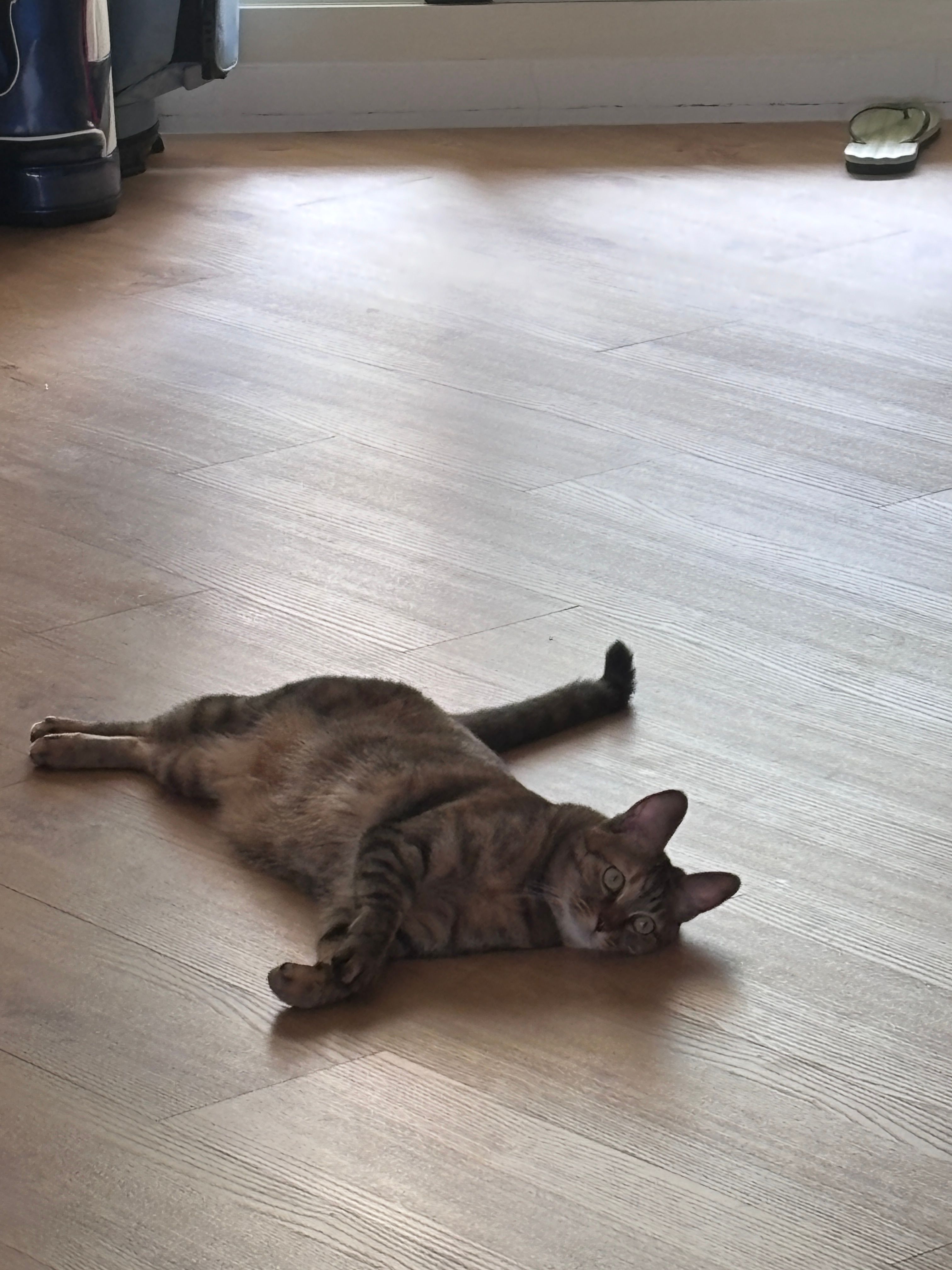 image-9