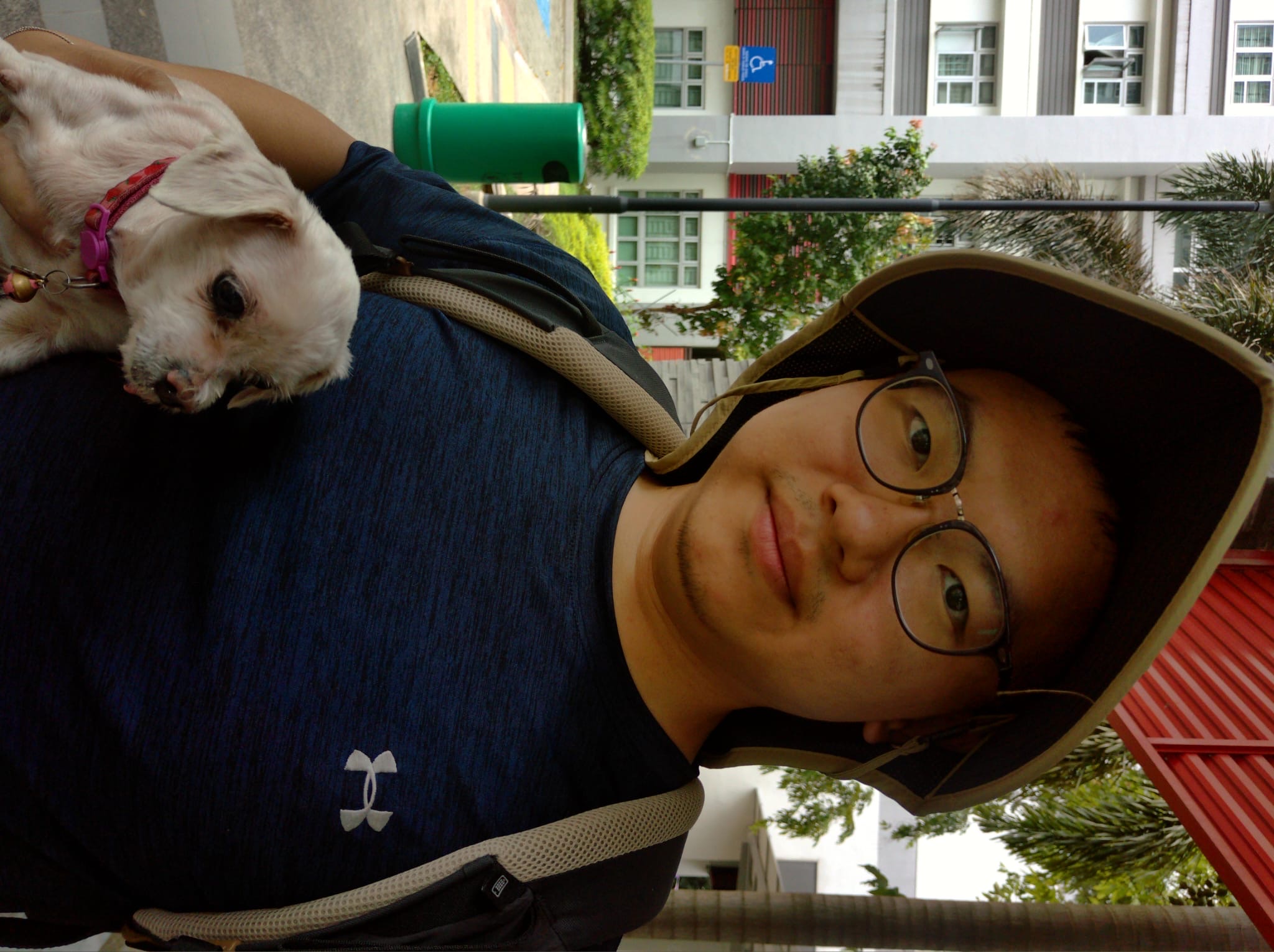 image-7