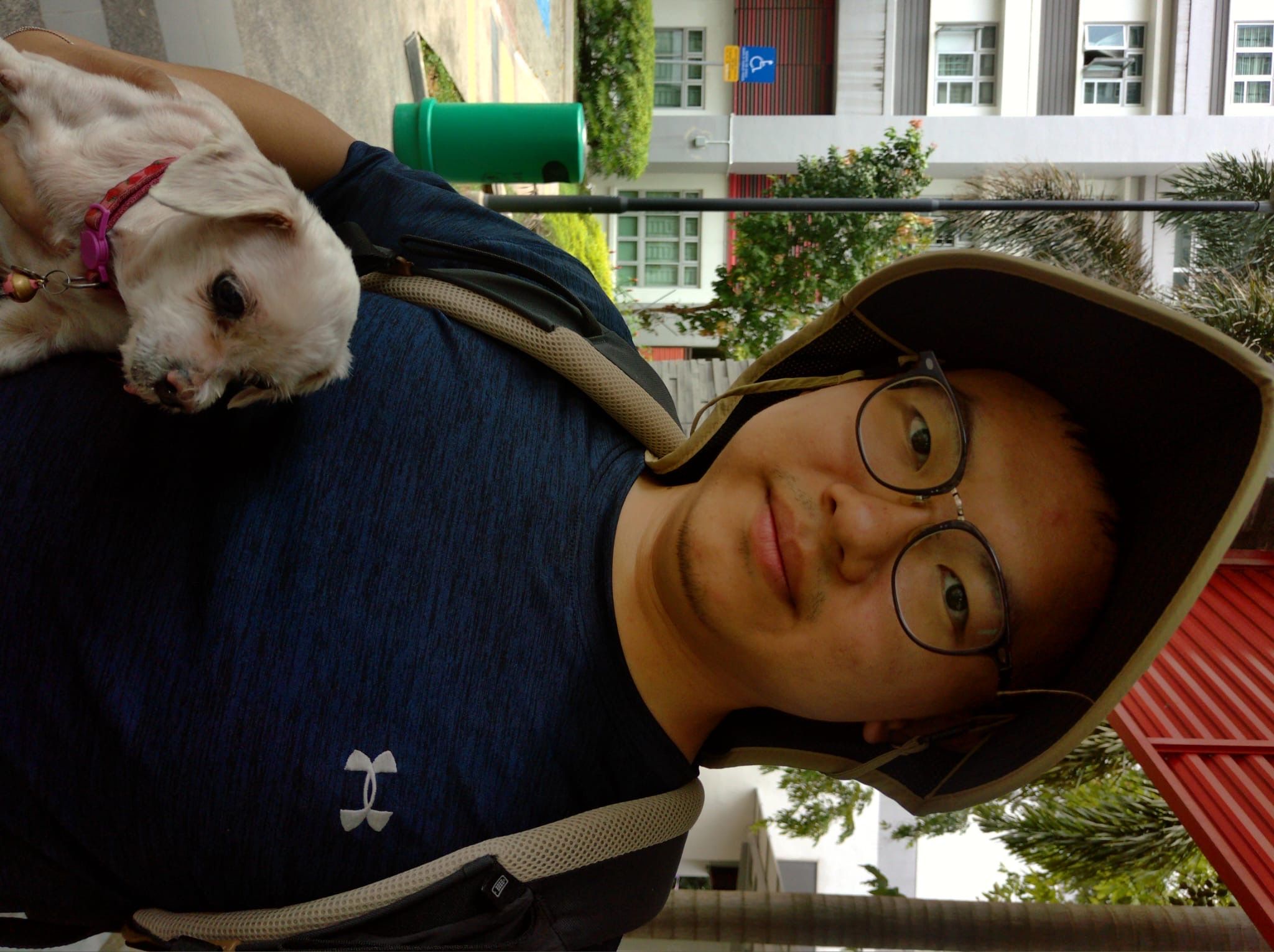 image-7
