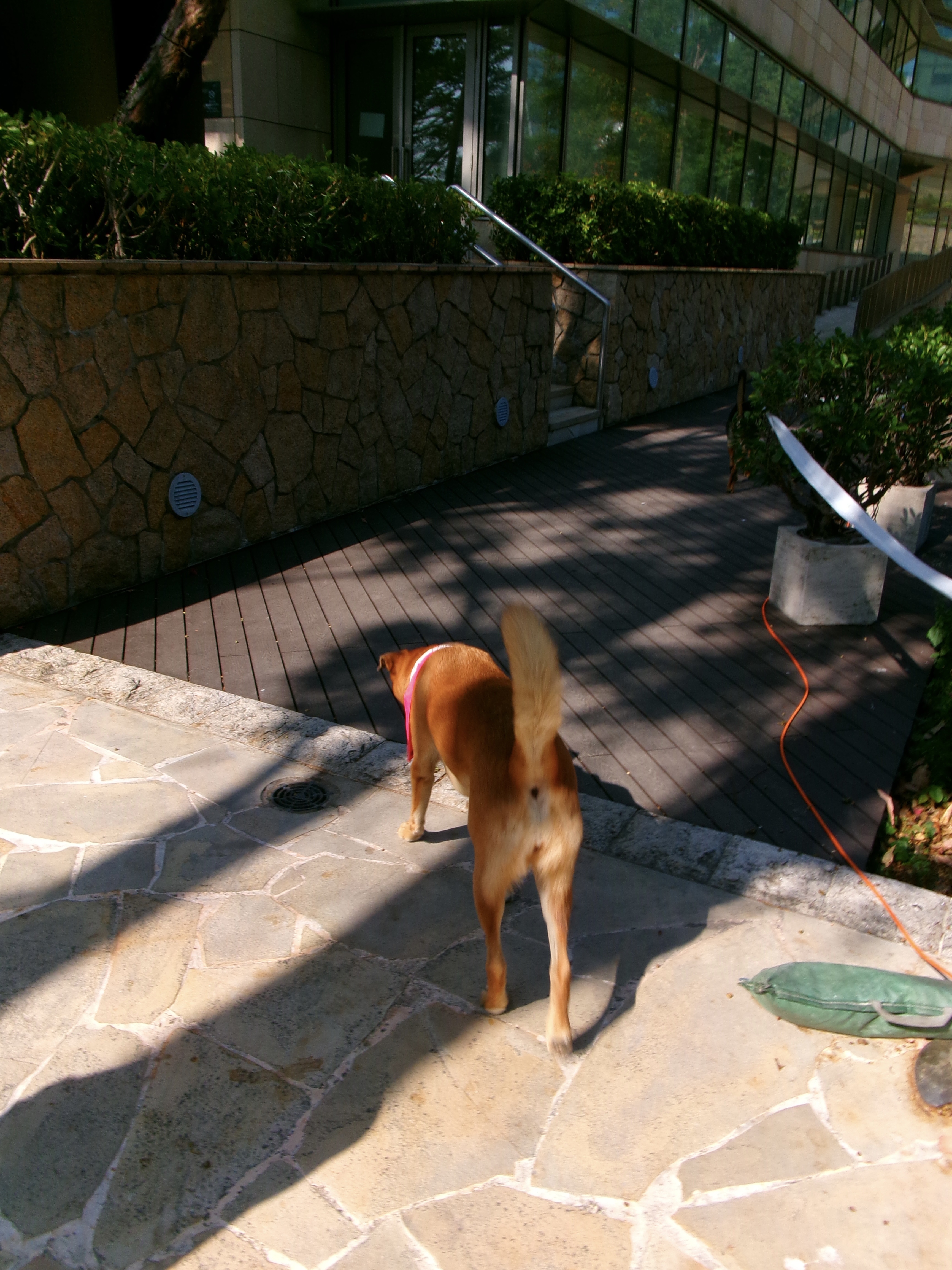 image-7