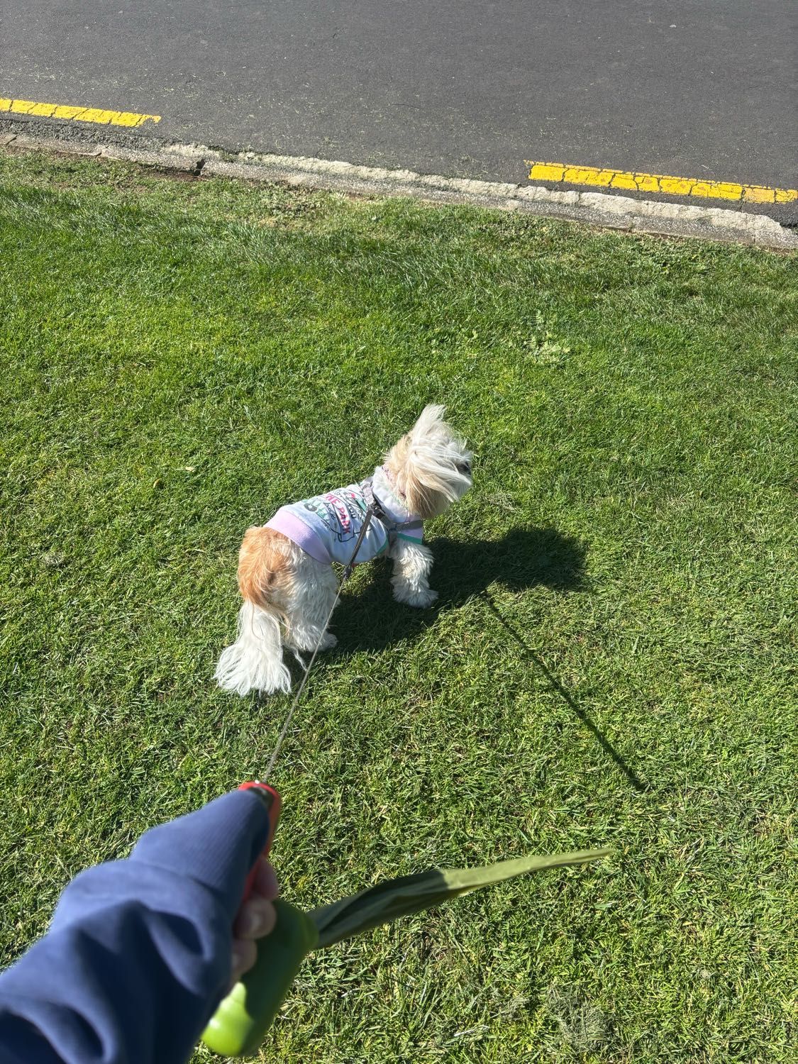 image-5