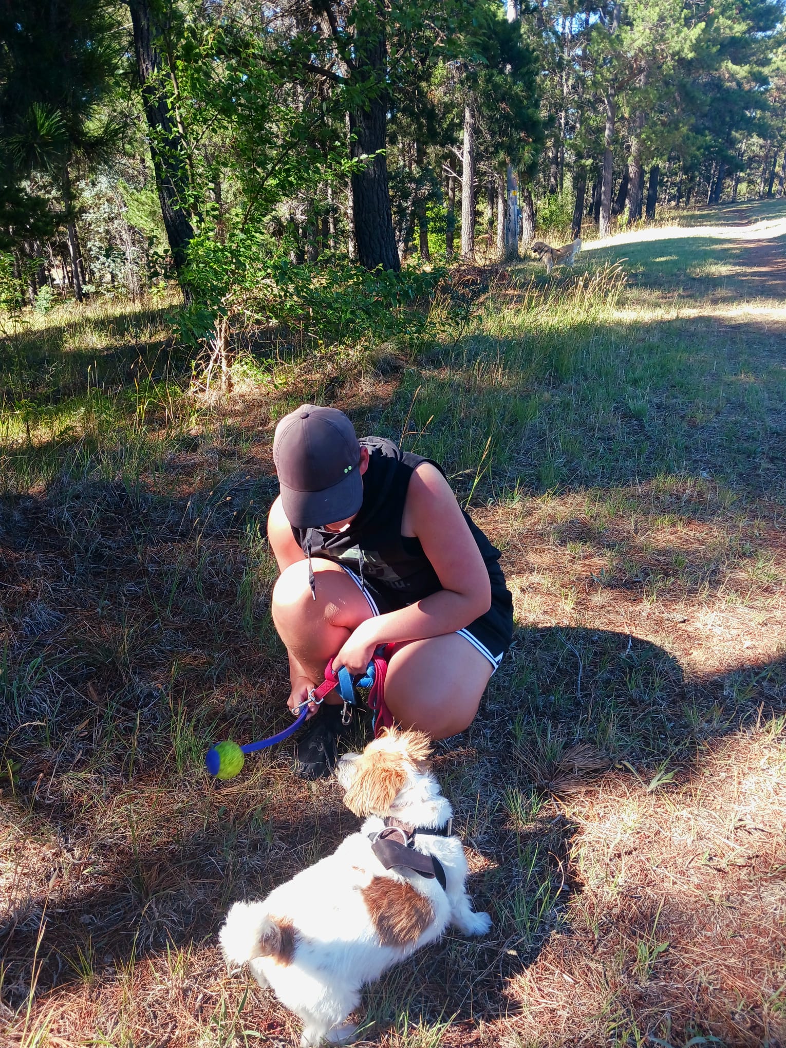 image-9