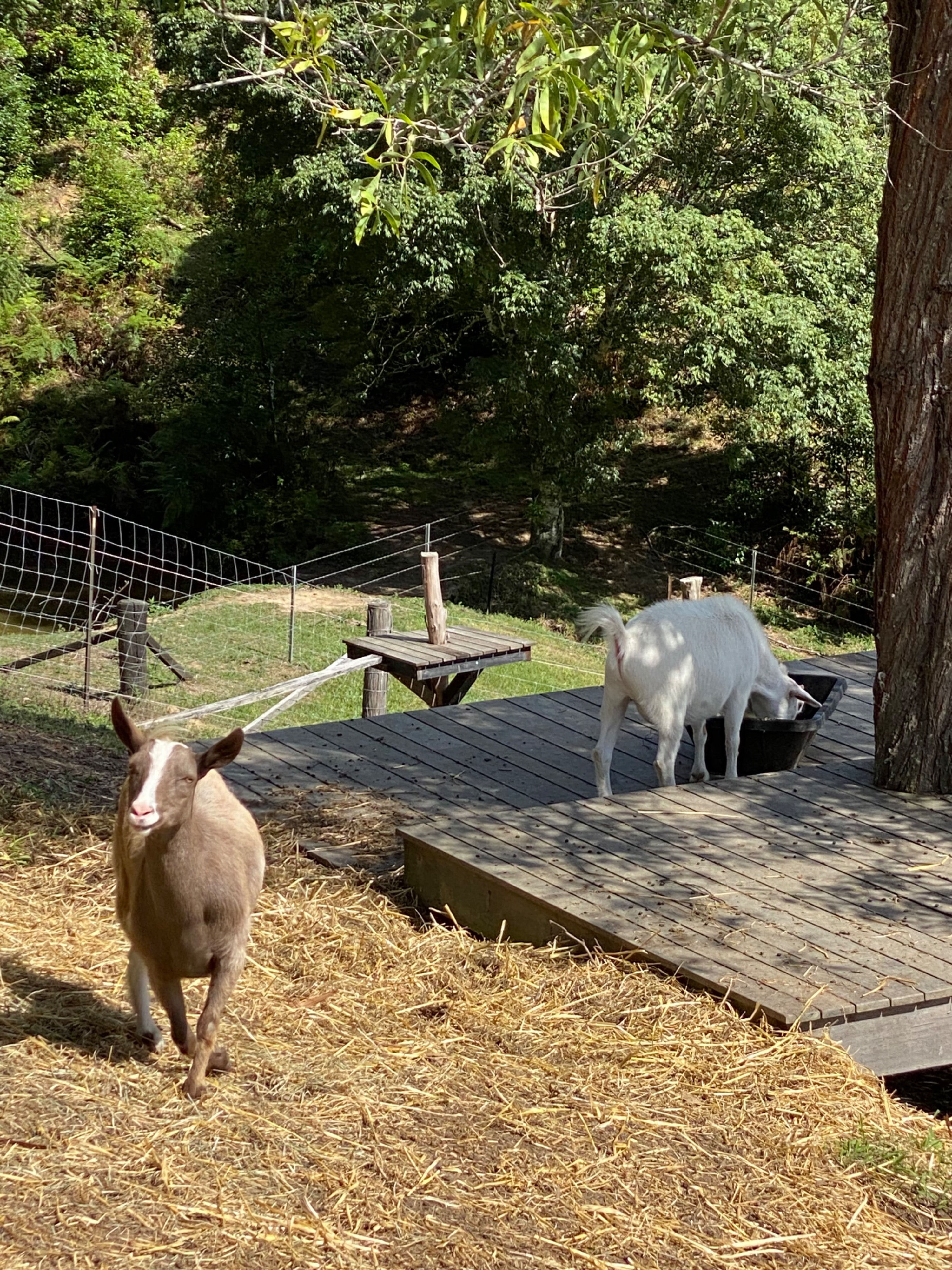 image-22