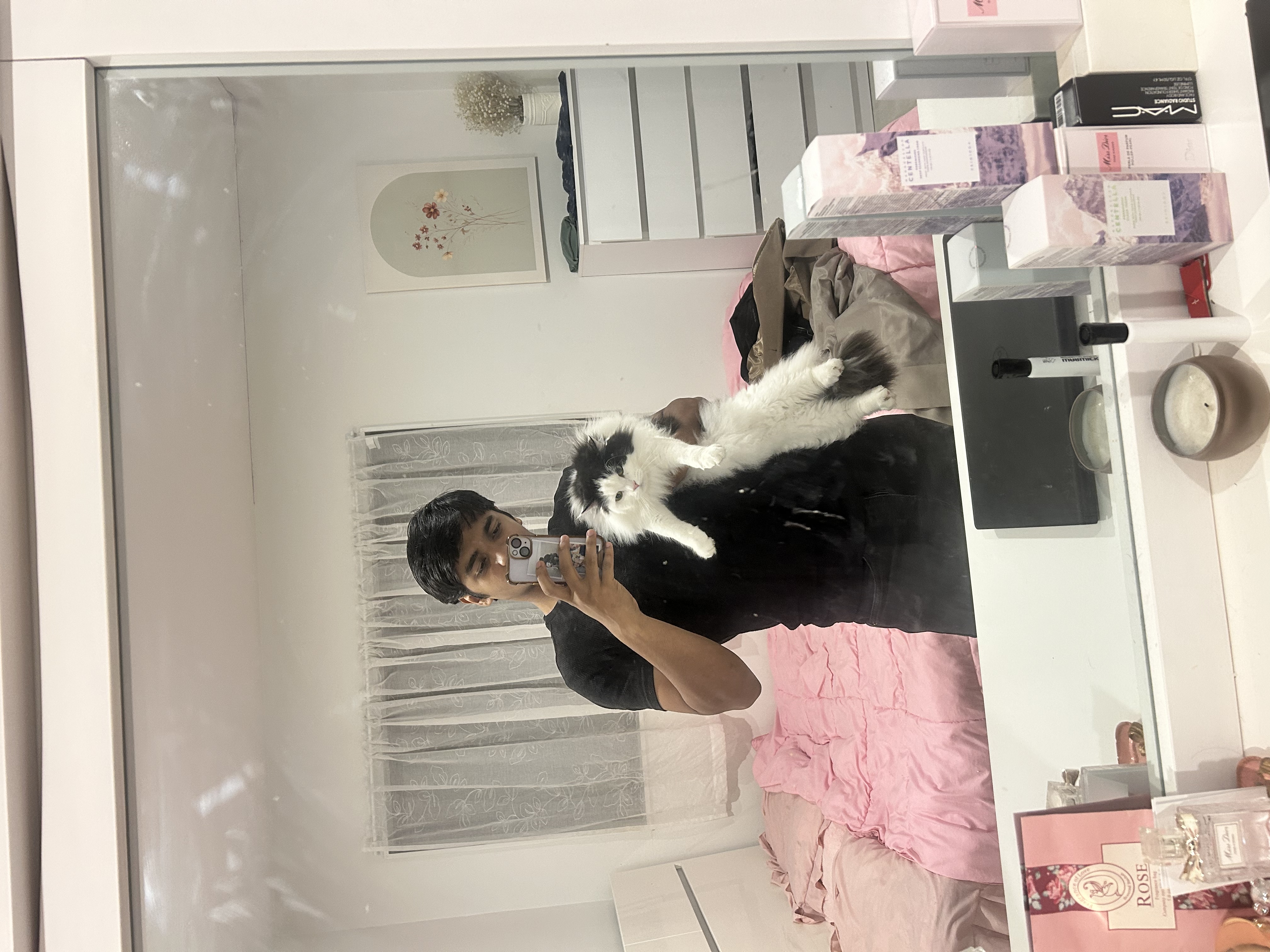 image-20
