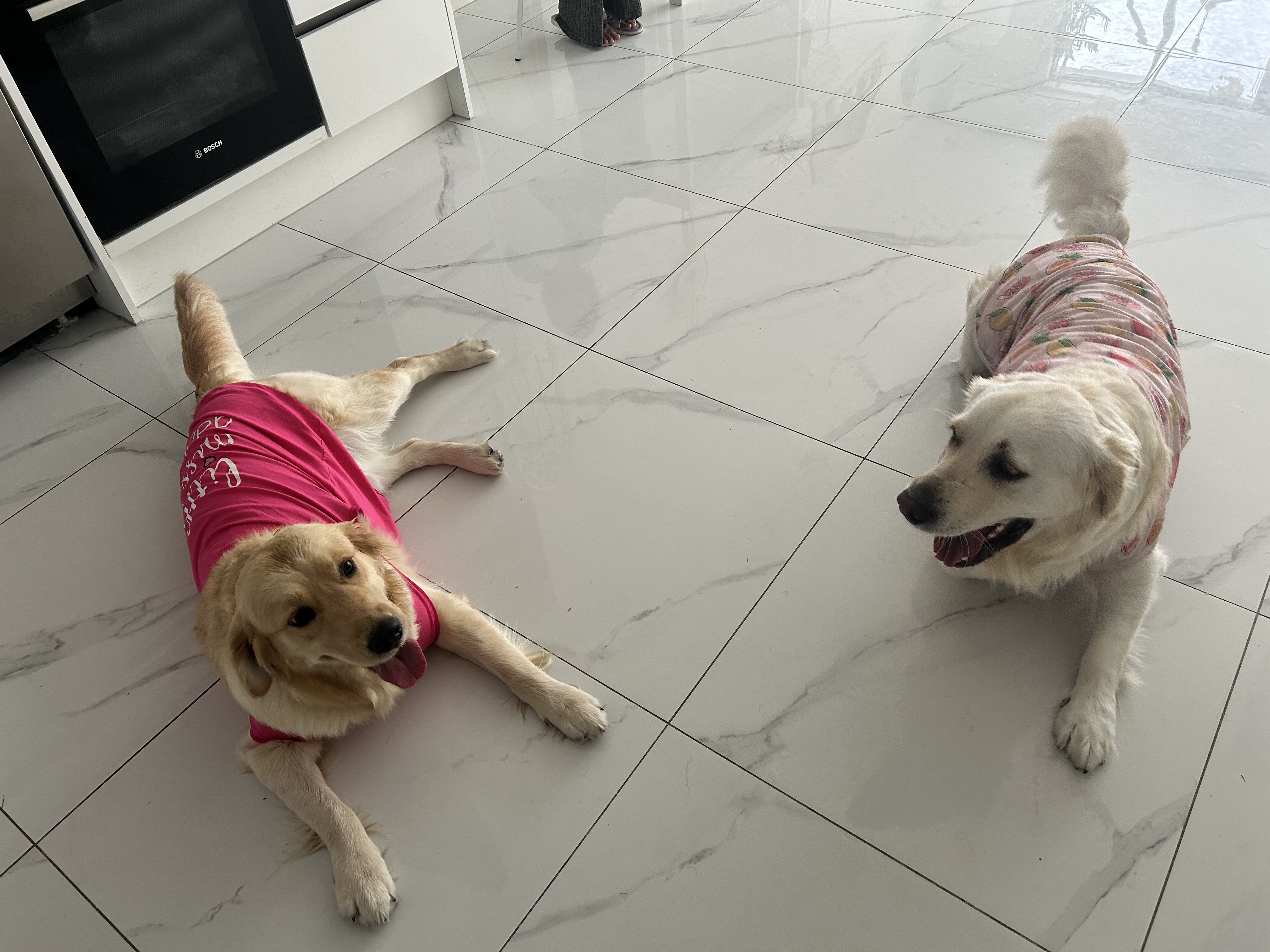 image-18