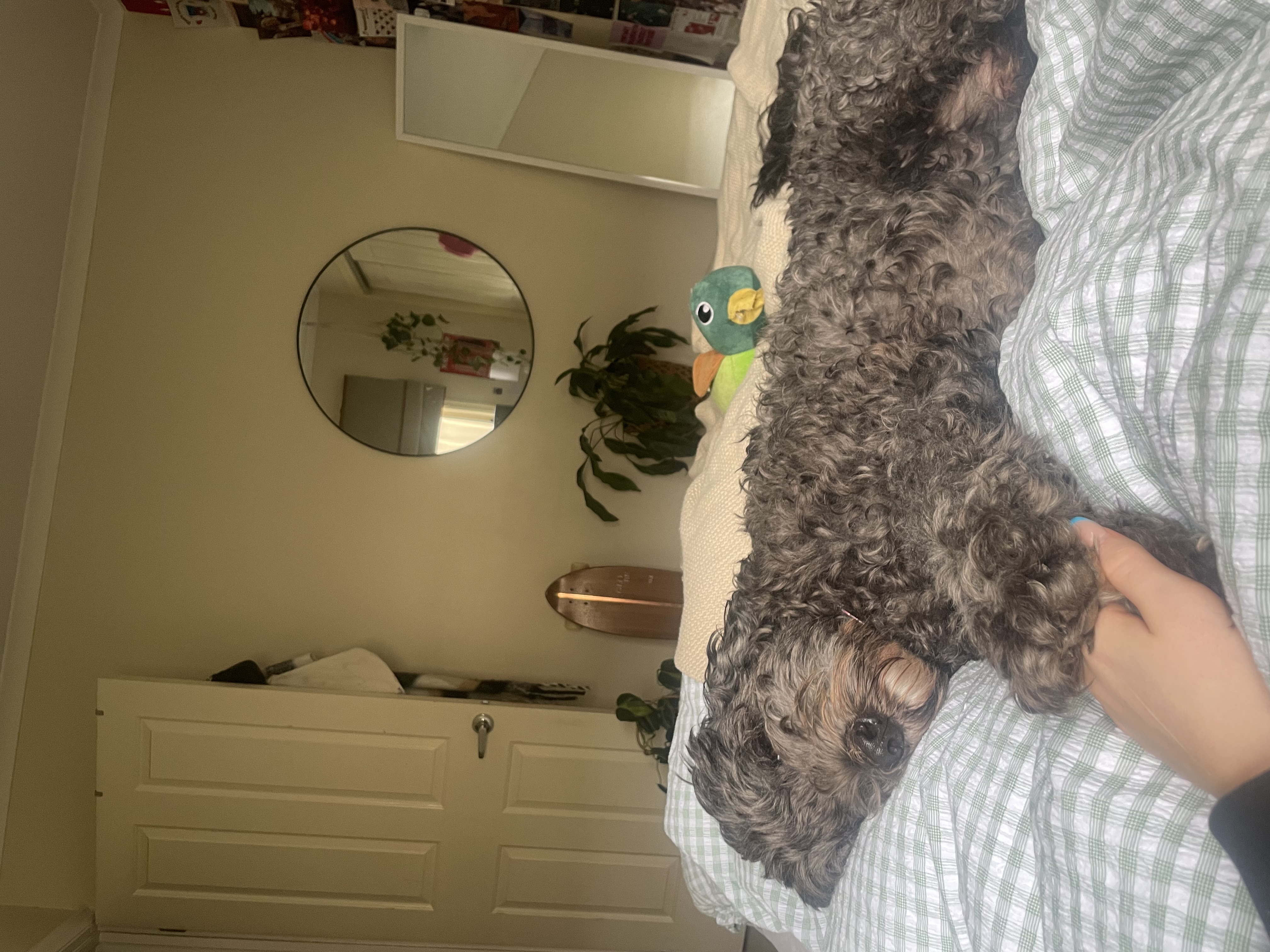 image-20