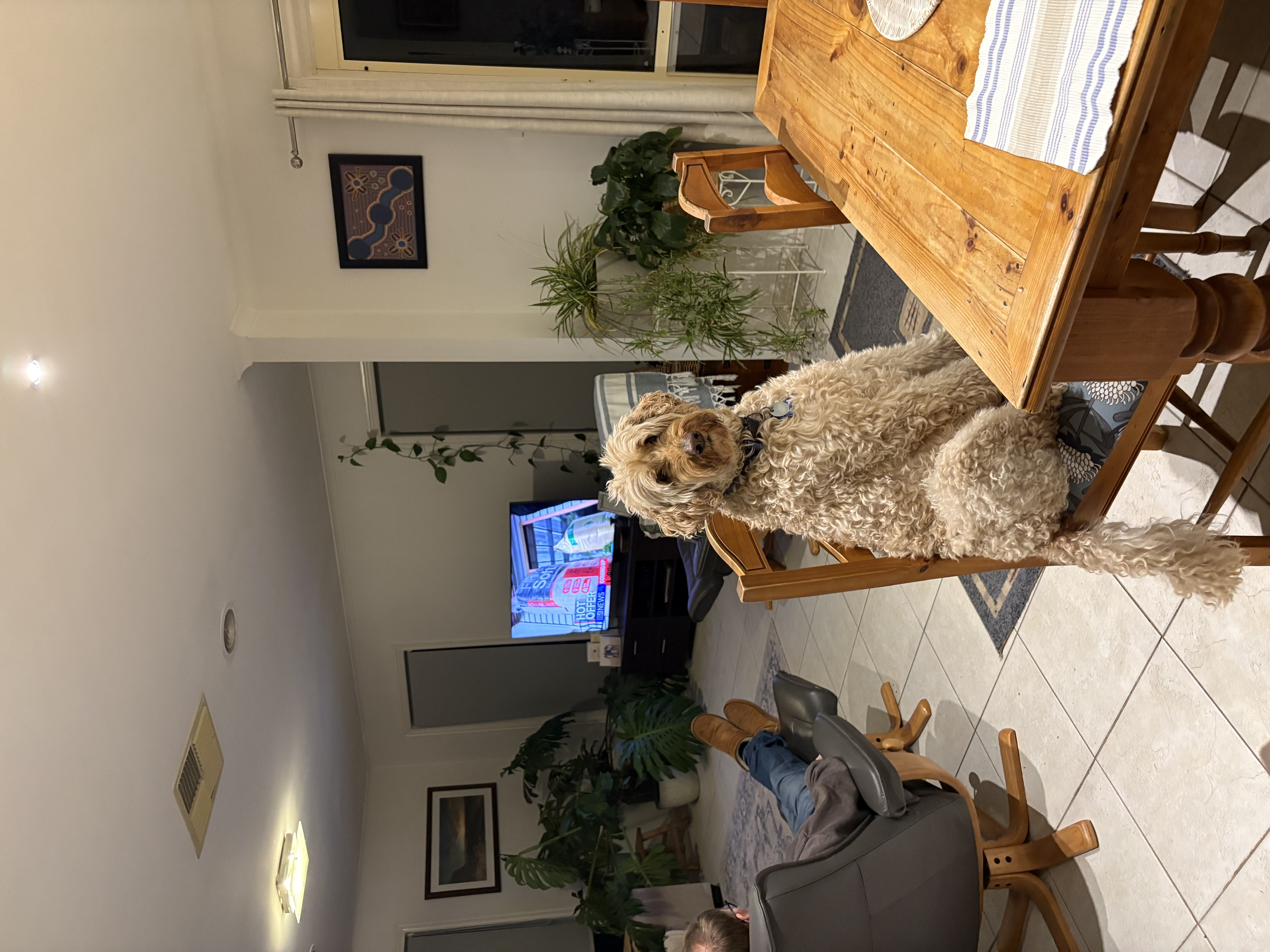image-9