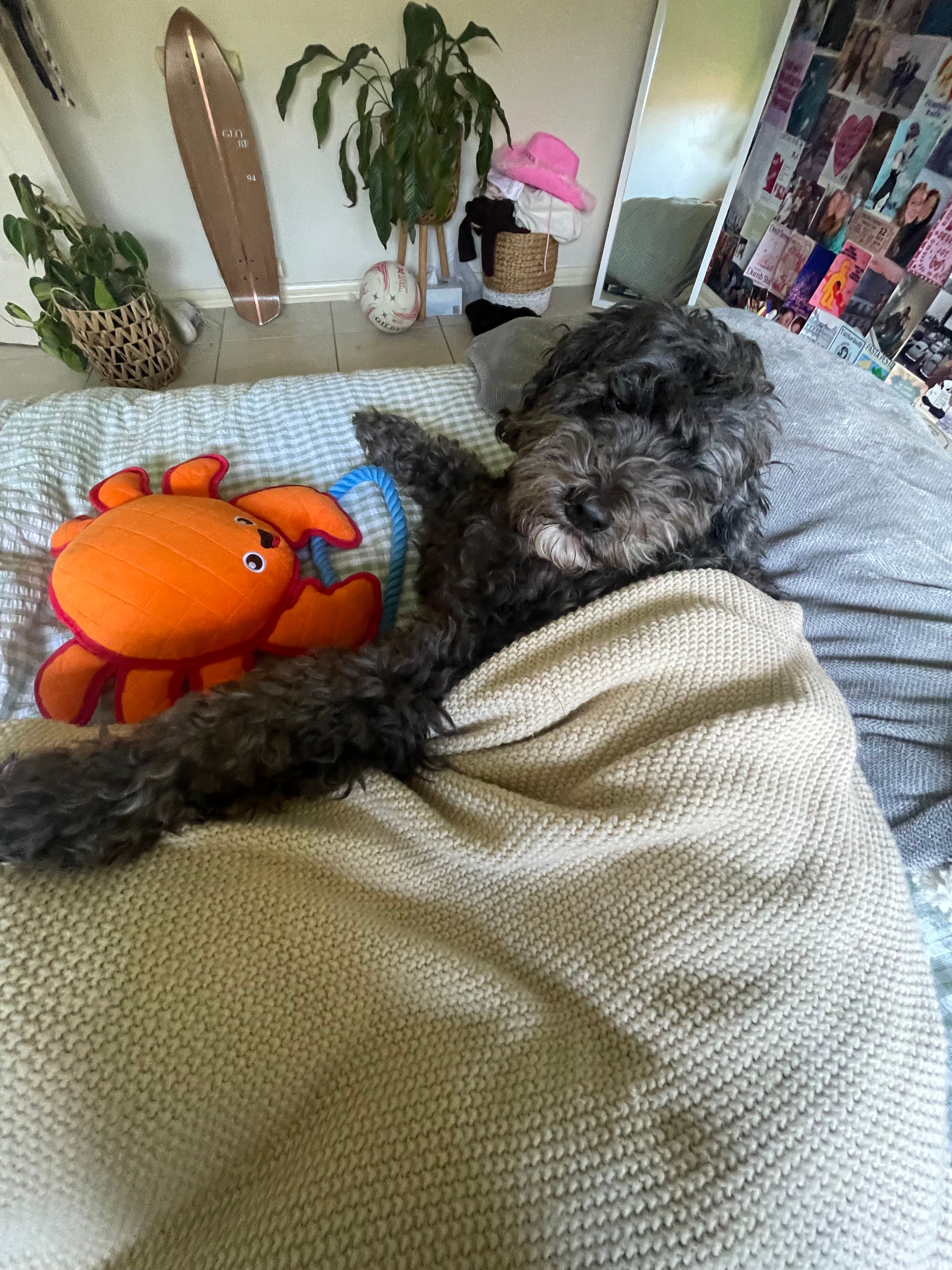 image-6