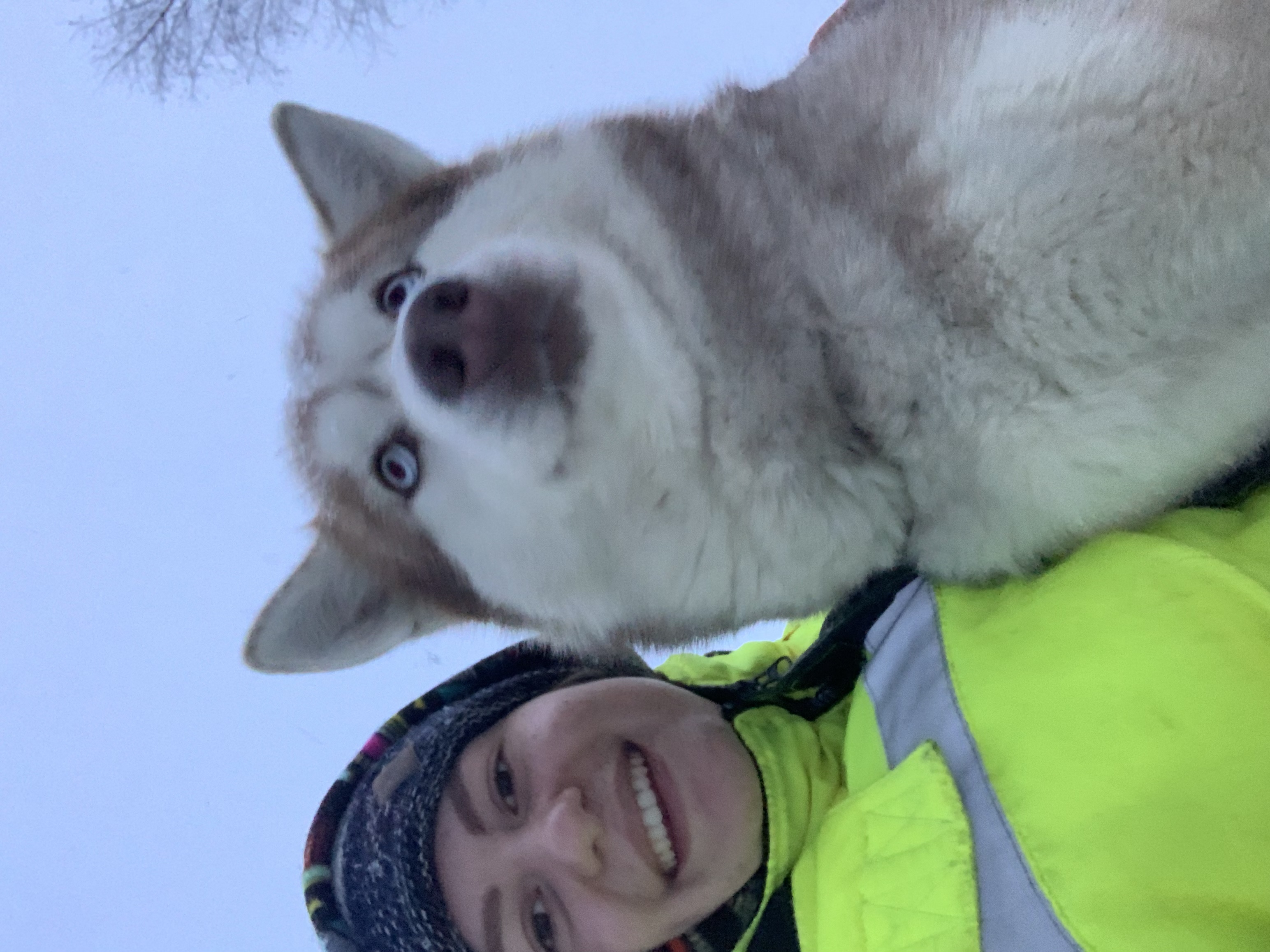 image-6