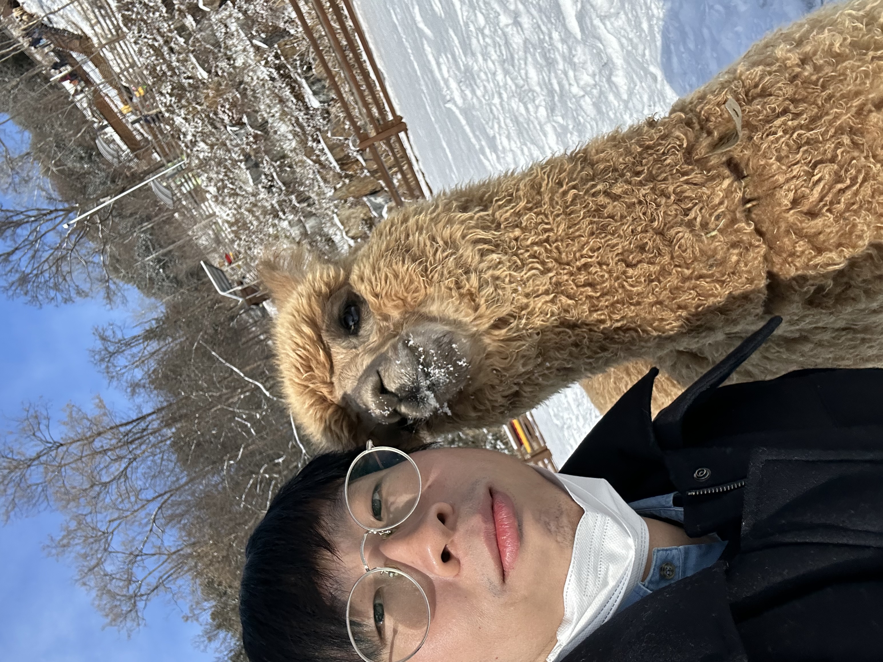 image-3