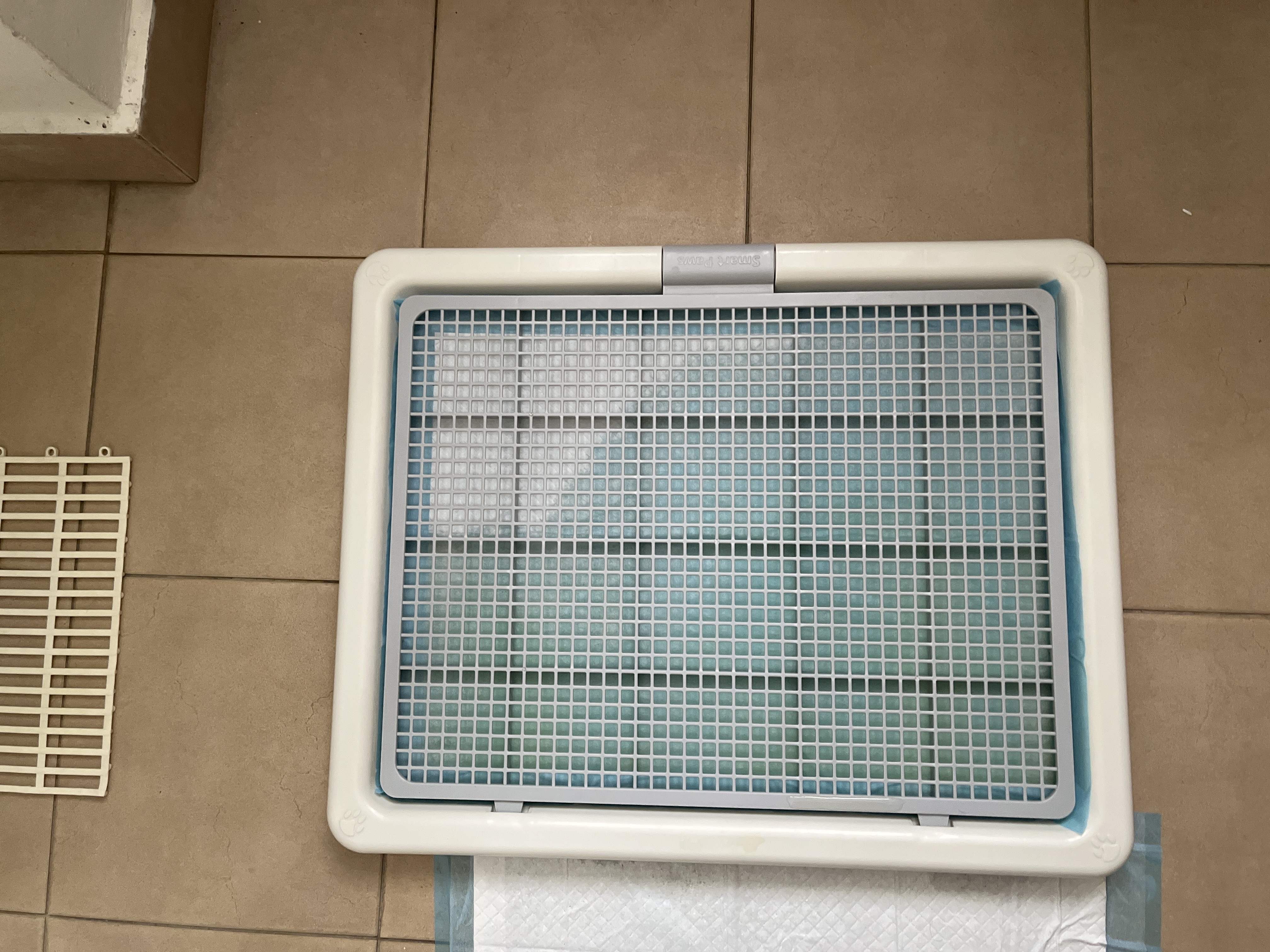 image-14