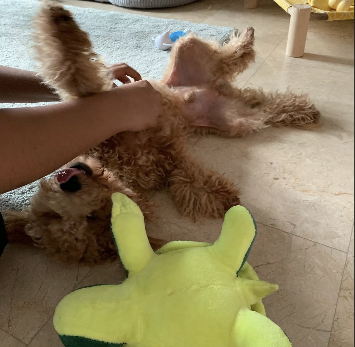 image-5