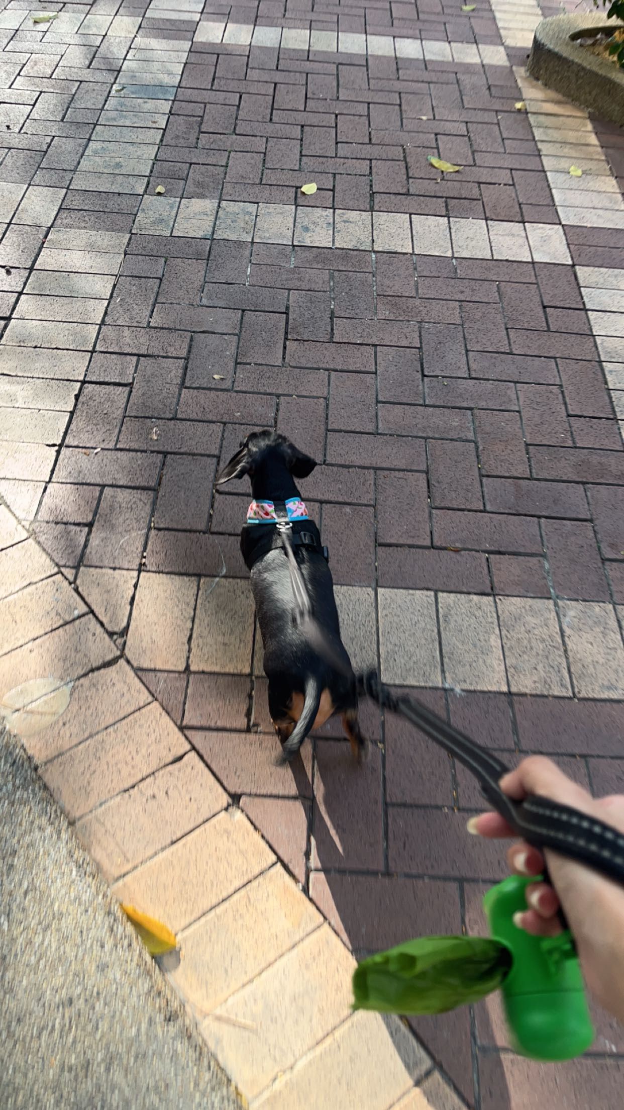 image-10
