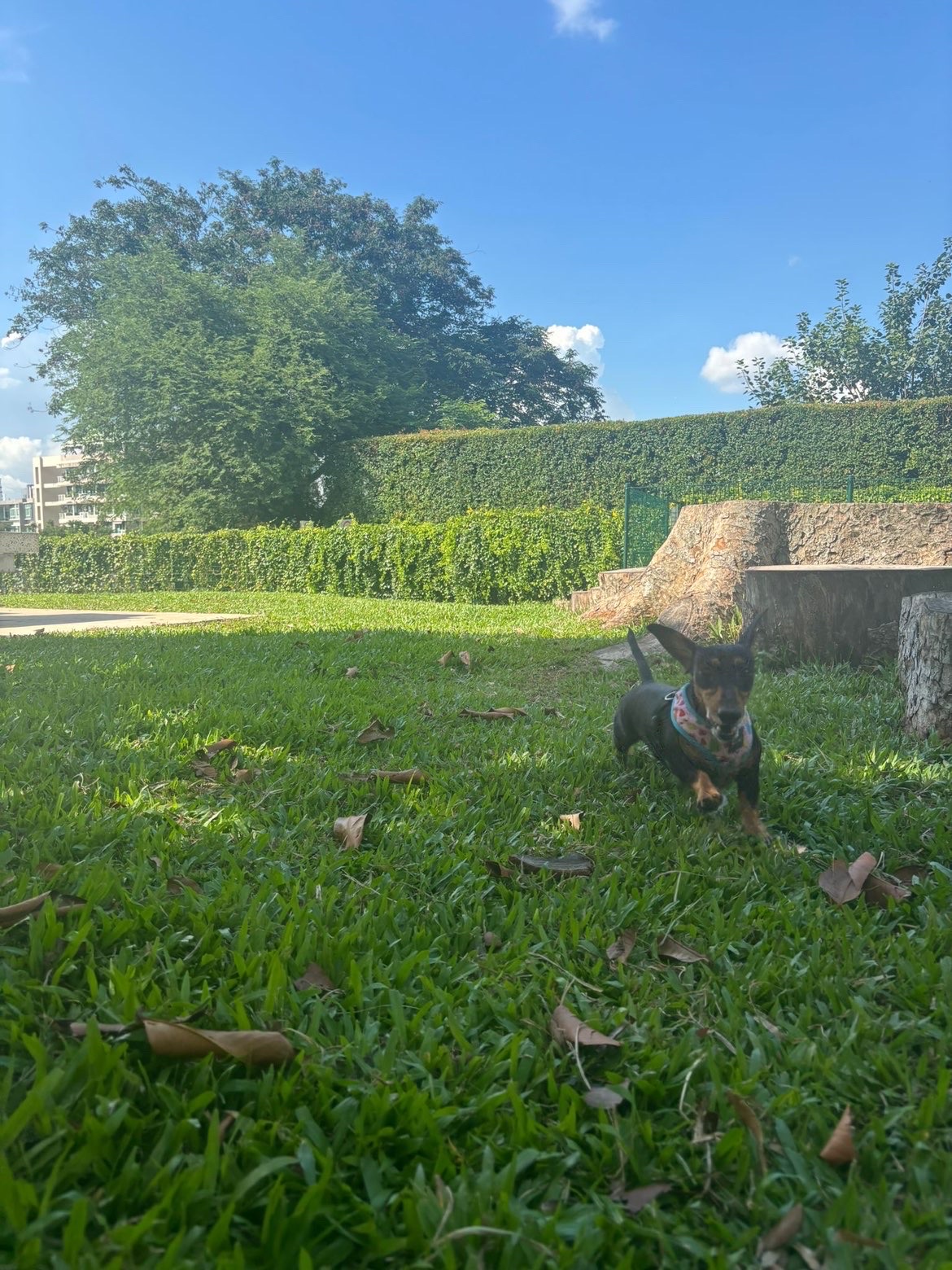 image-15