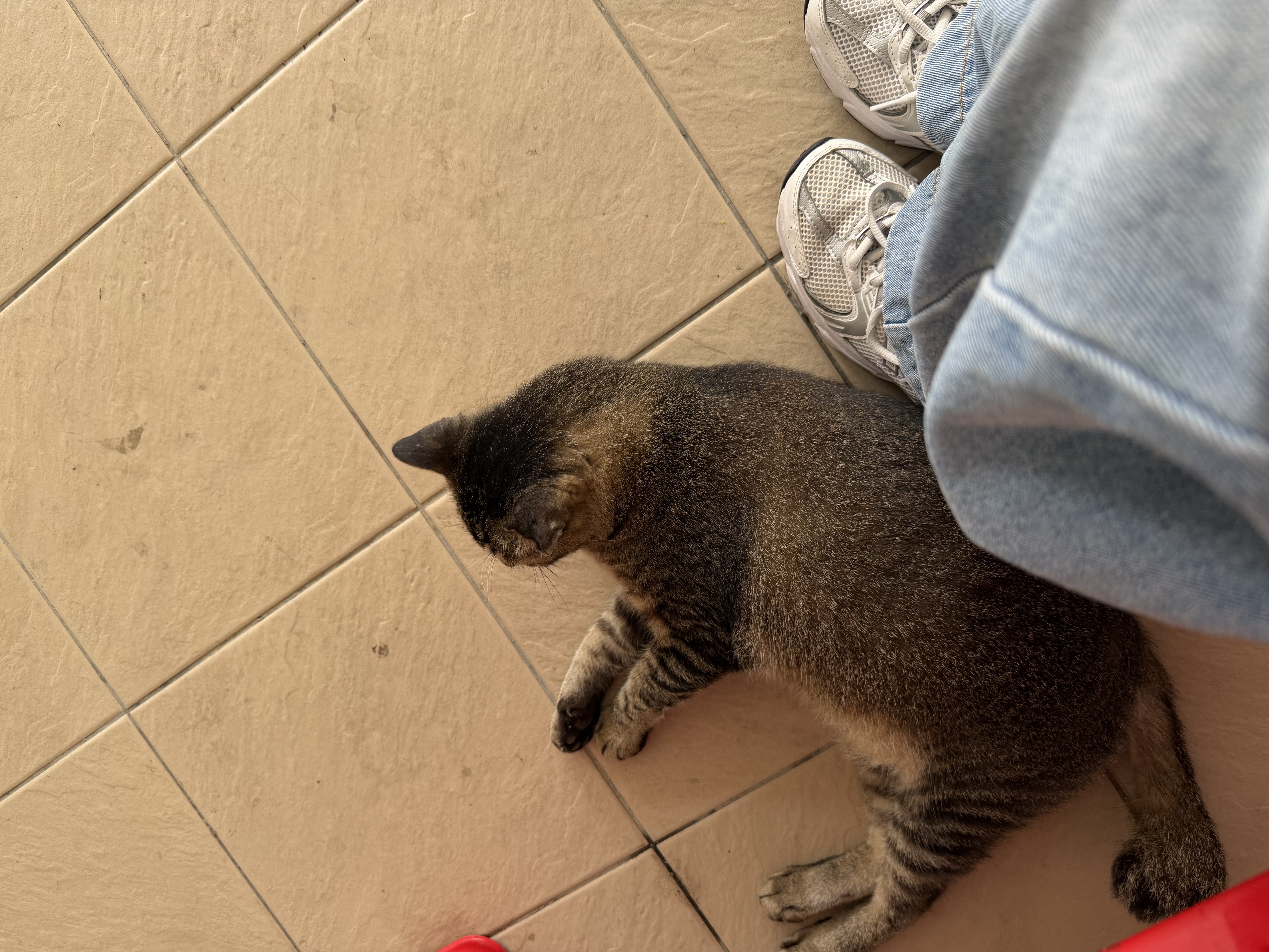 image-5