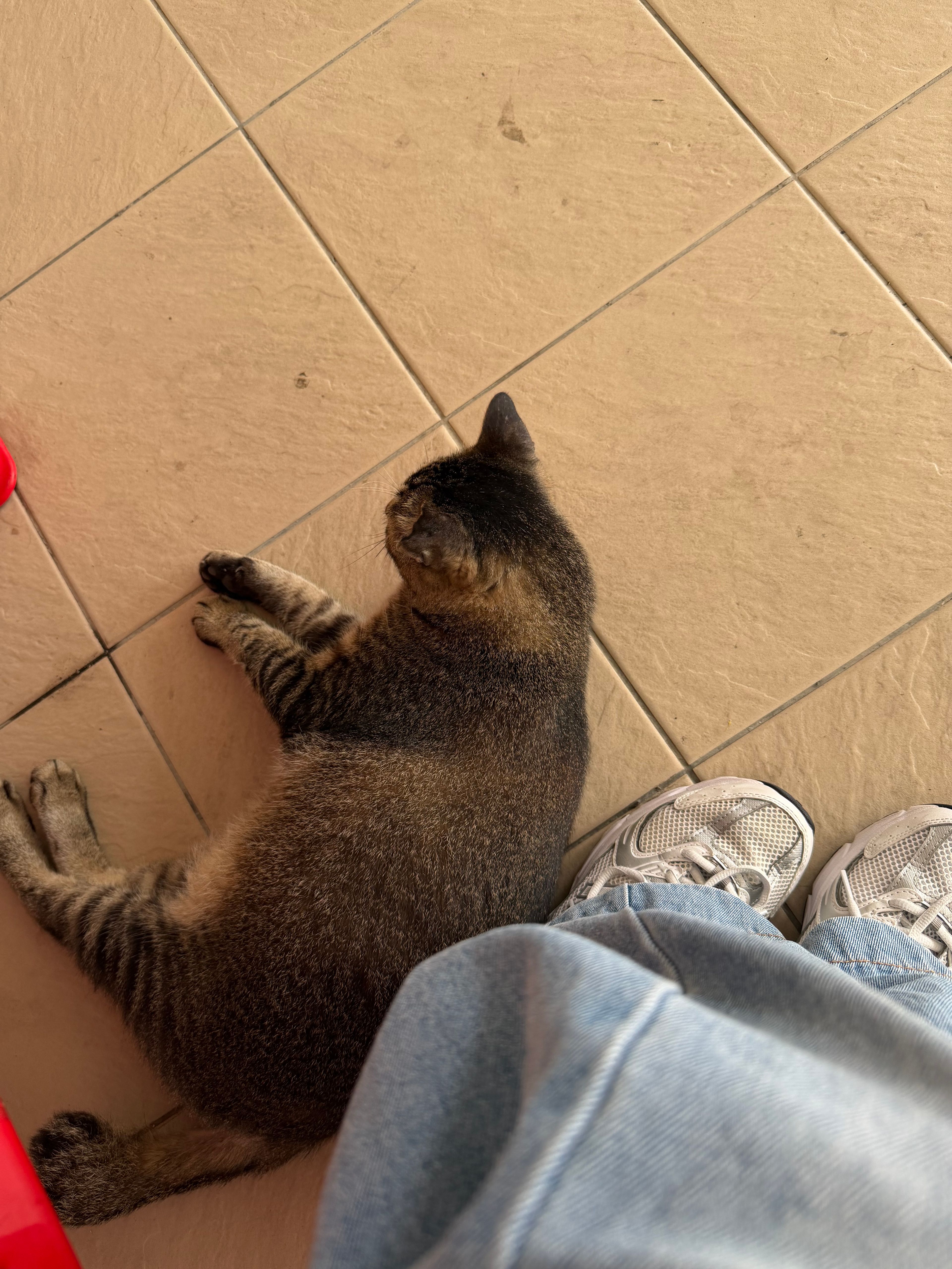 image-5