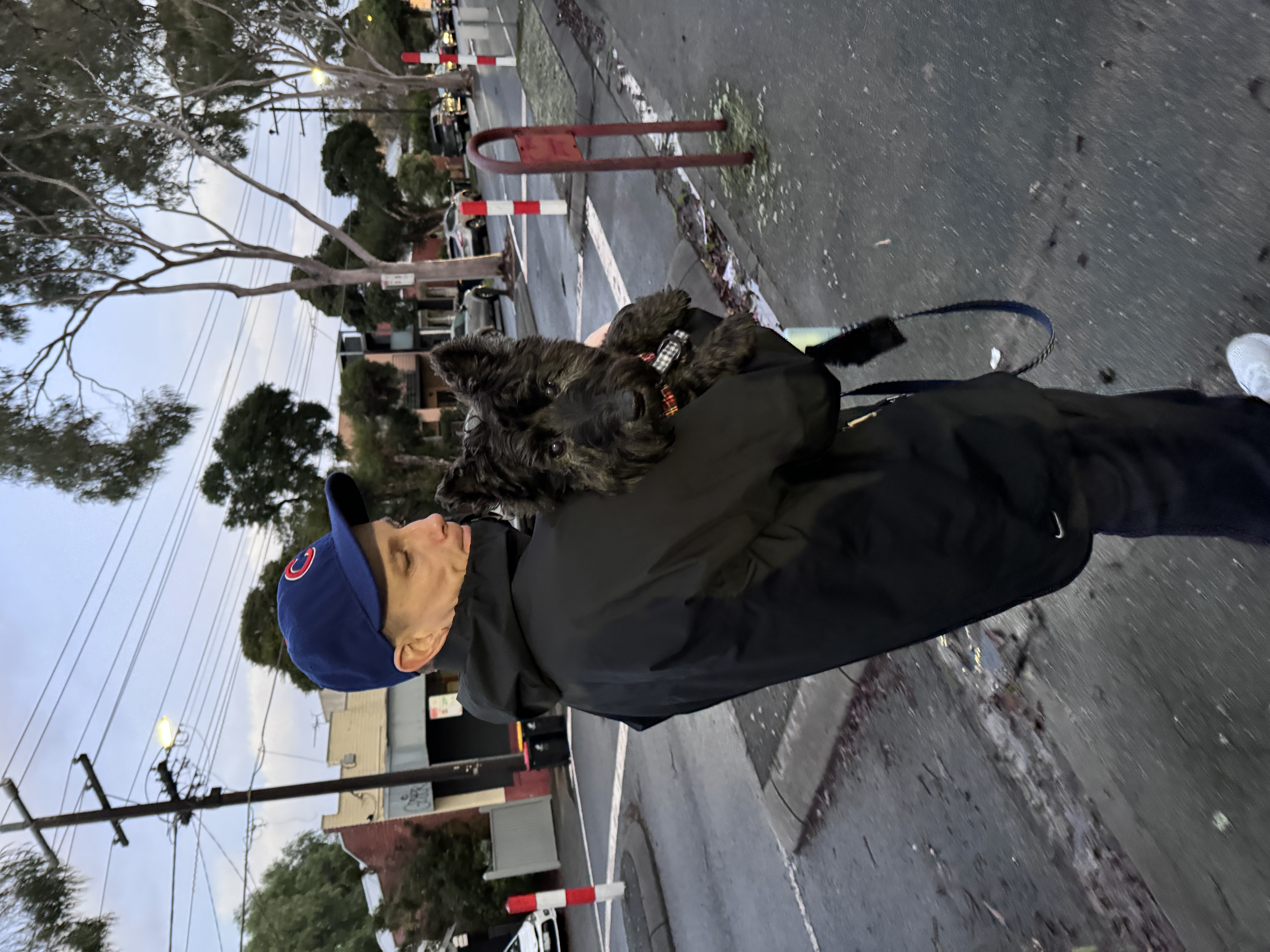 image-8