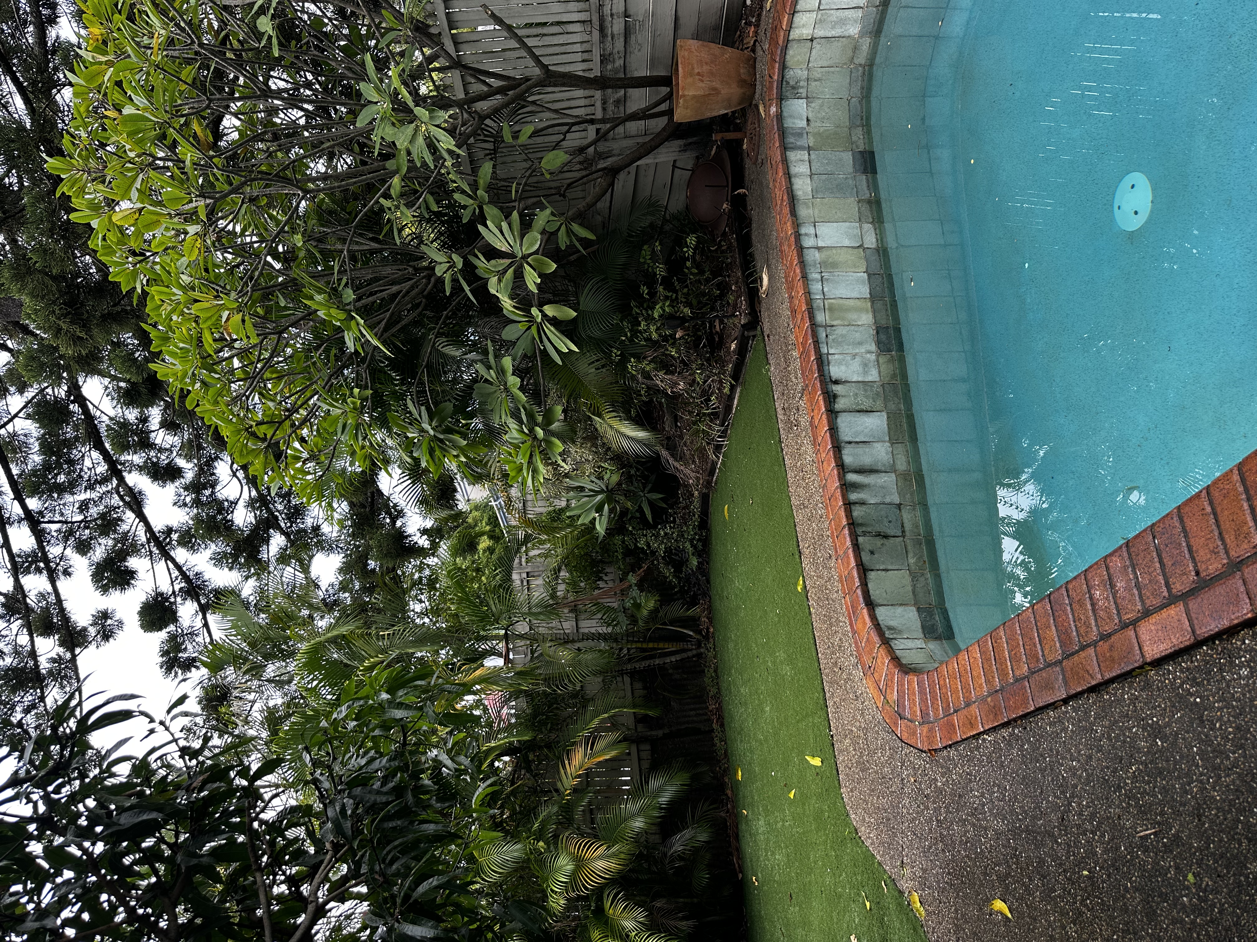 image-18