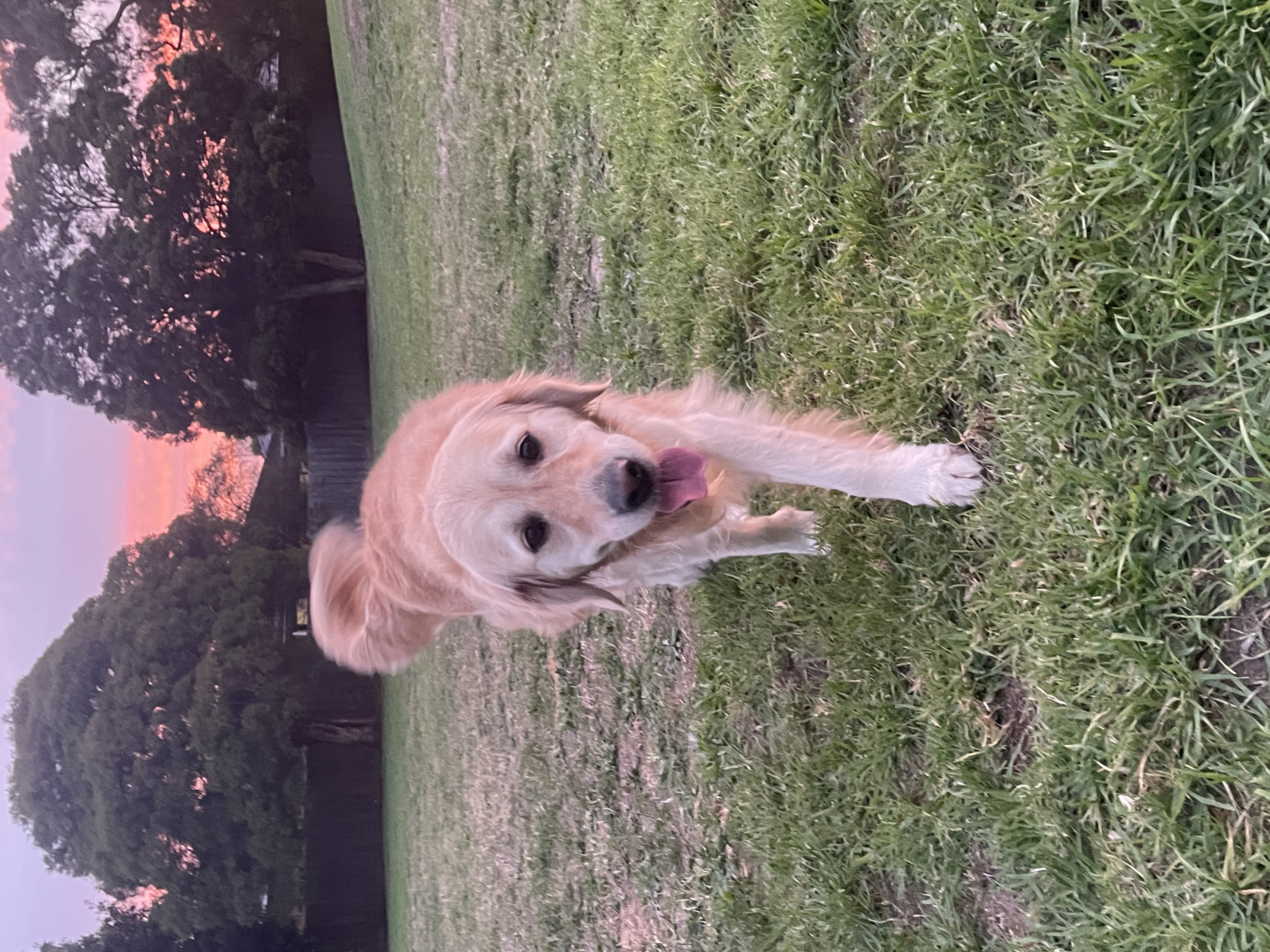 image-6