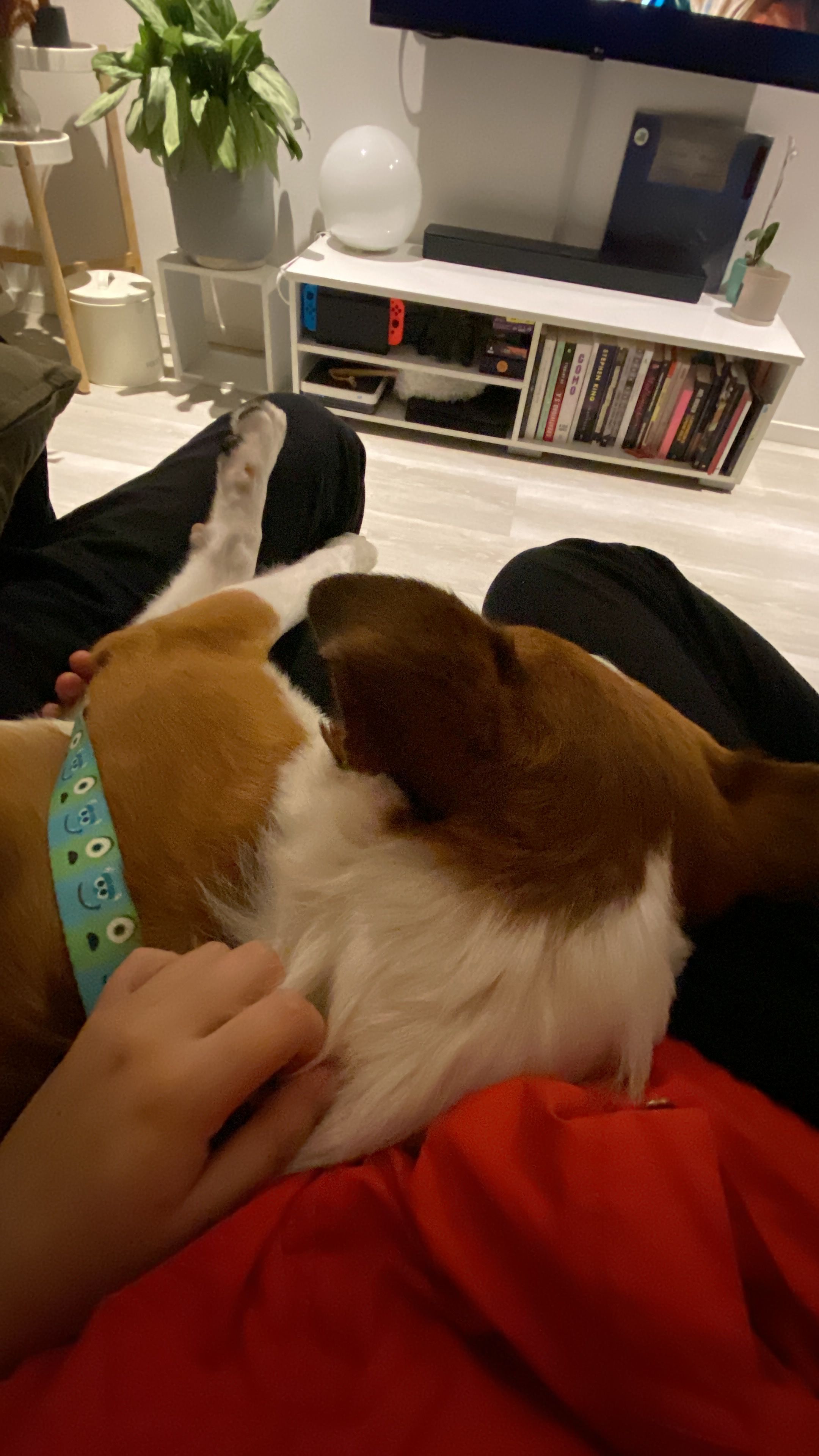 image-12