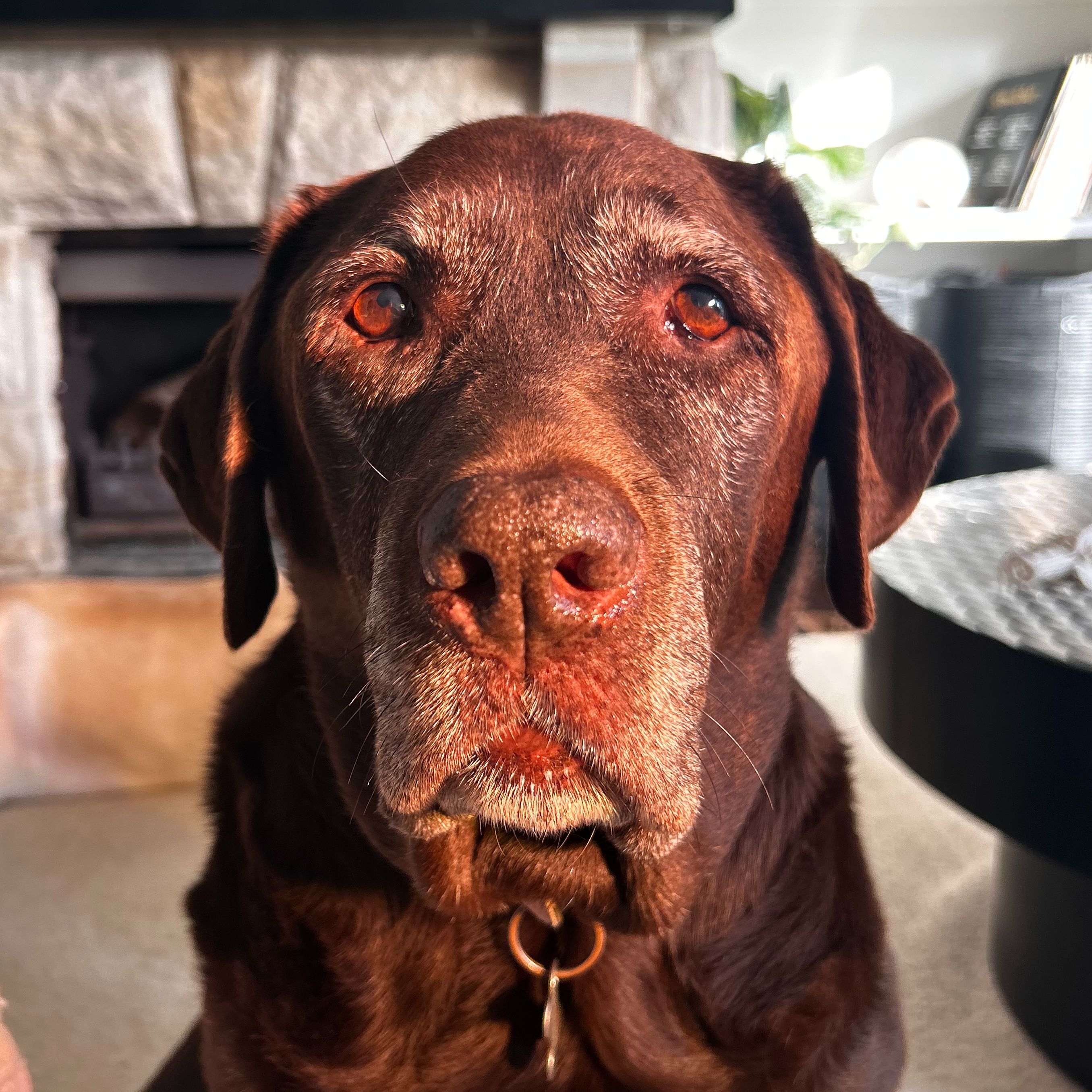 Ruby