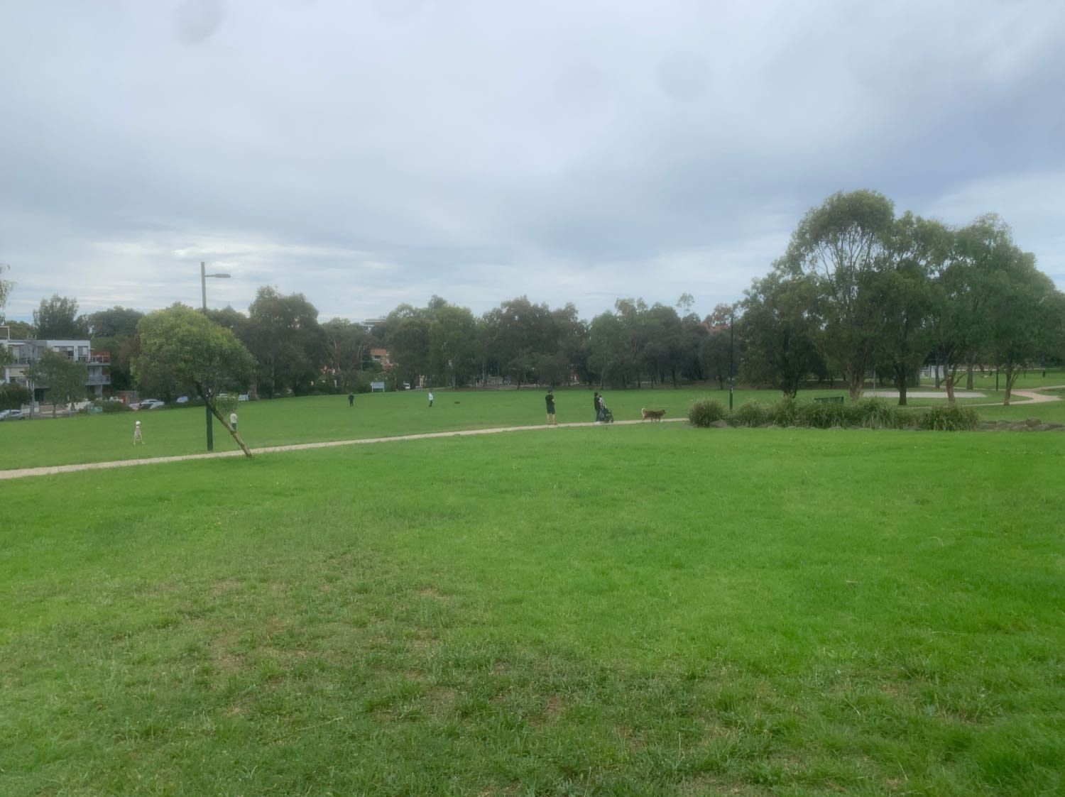 image-15