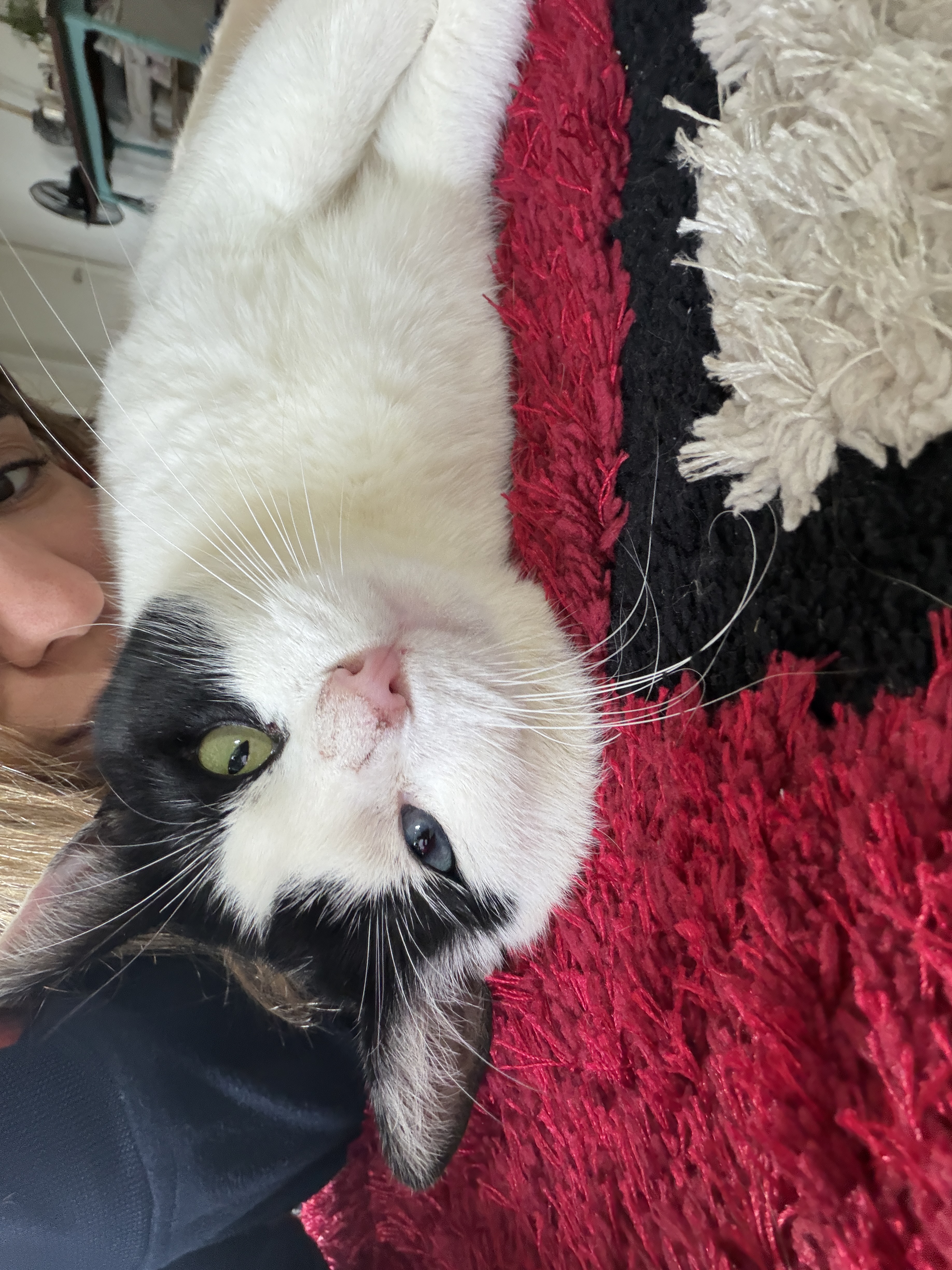 image-3