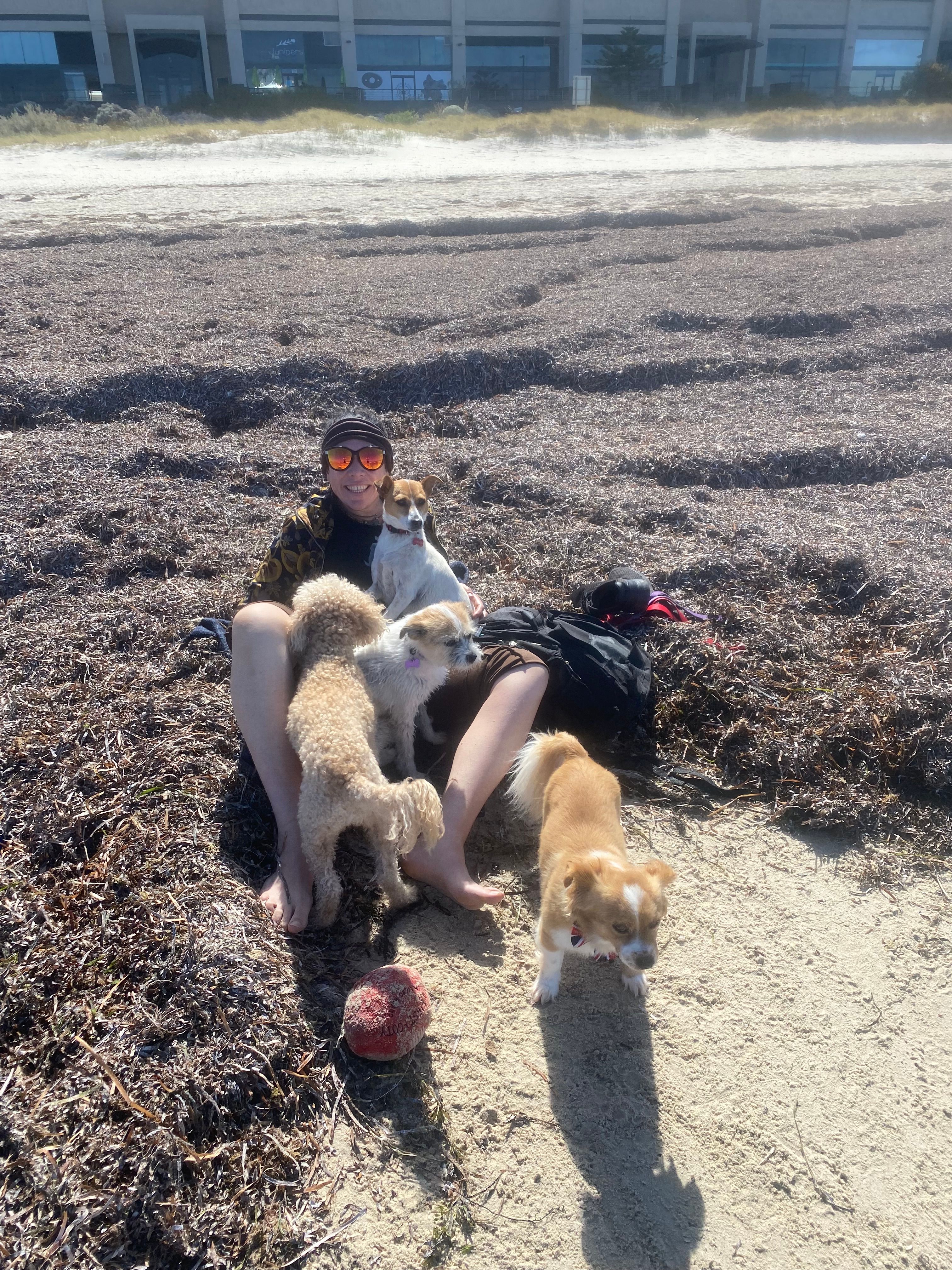 image-15