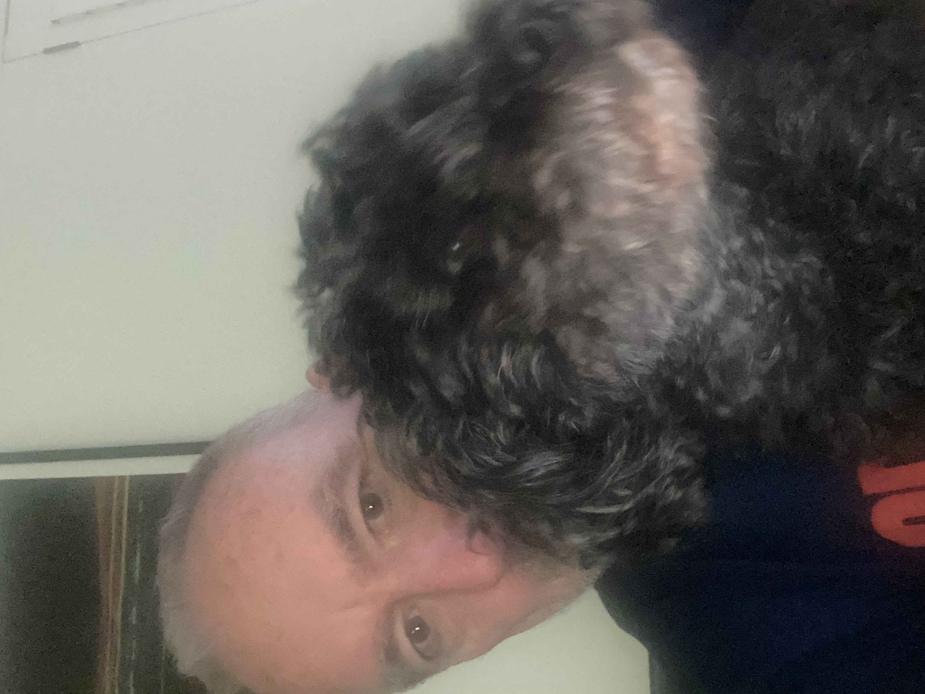image-7