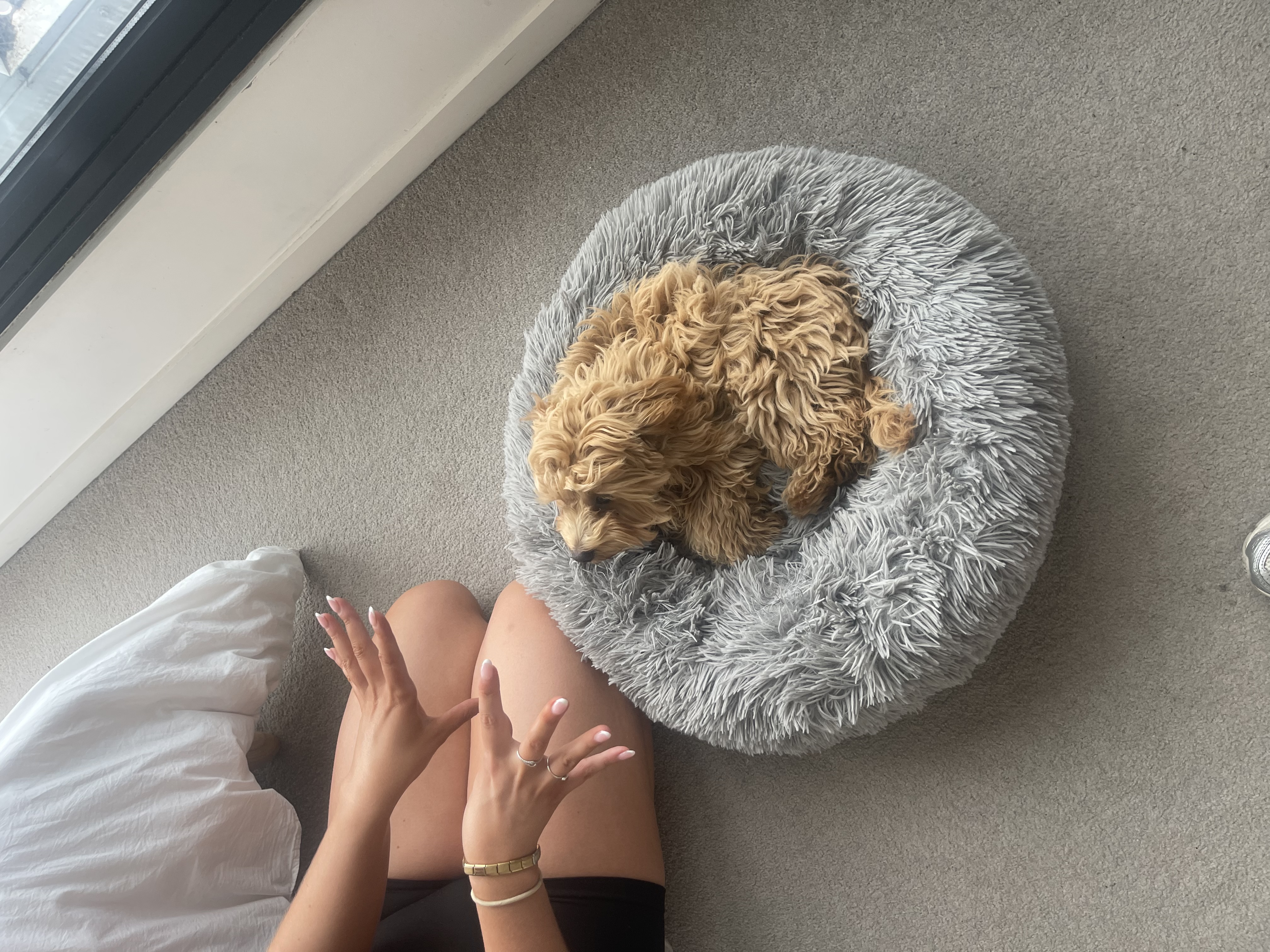 image-7