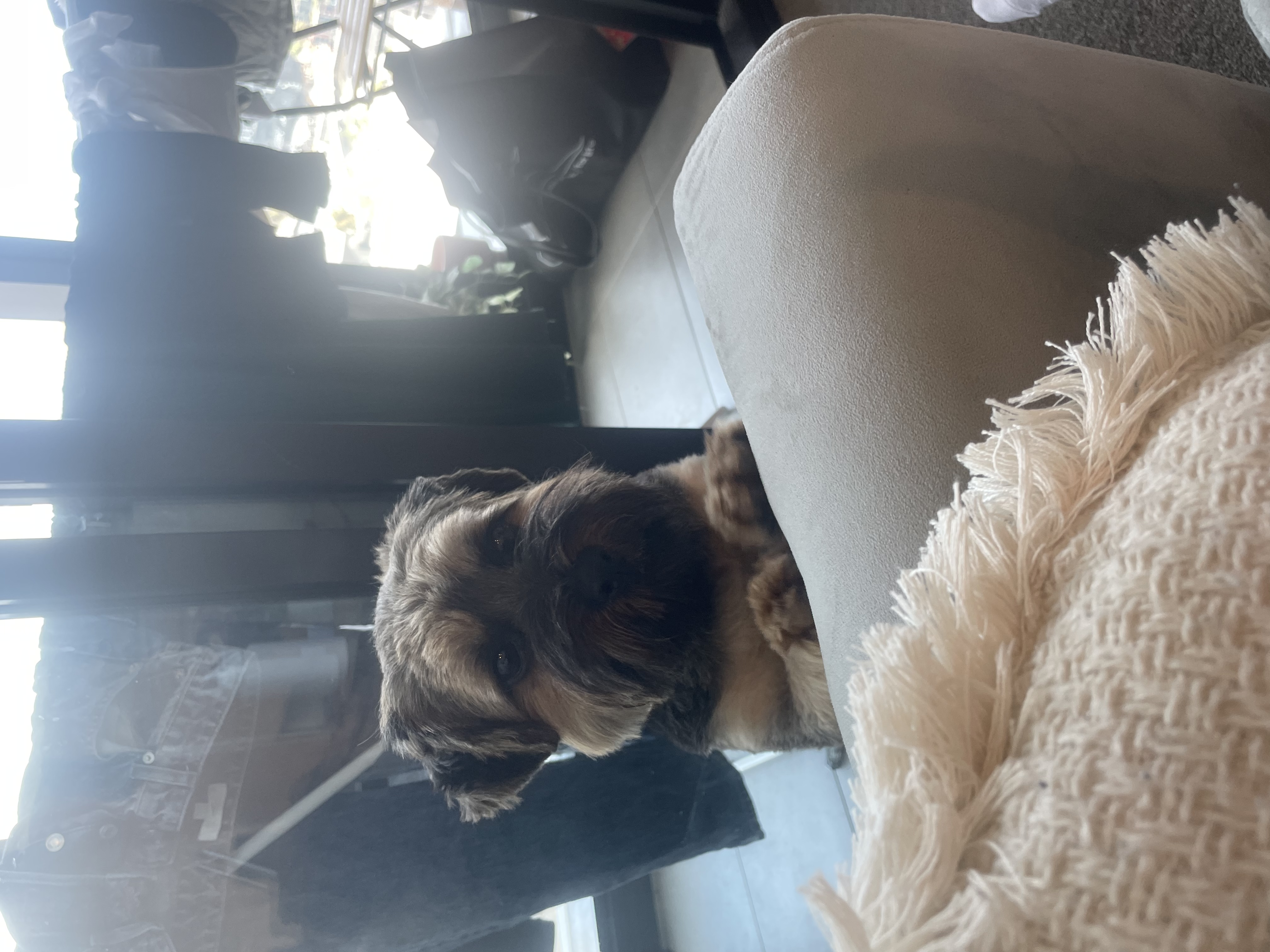 image-12