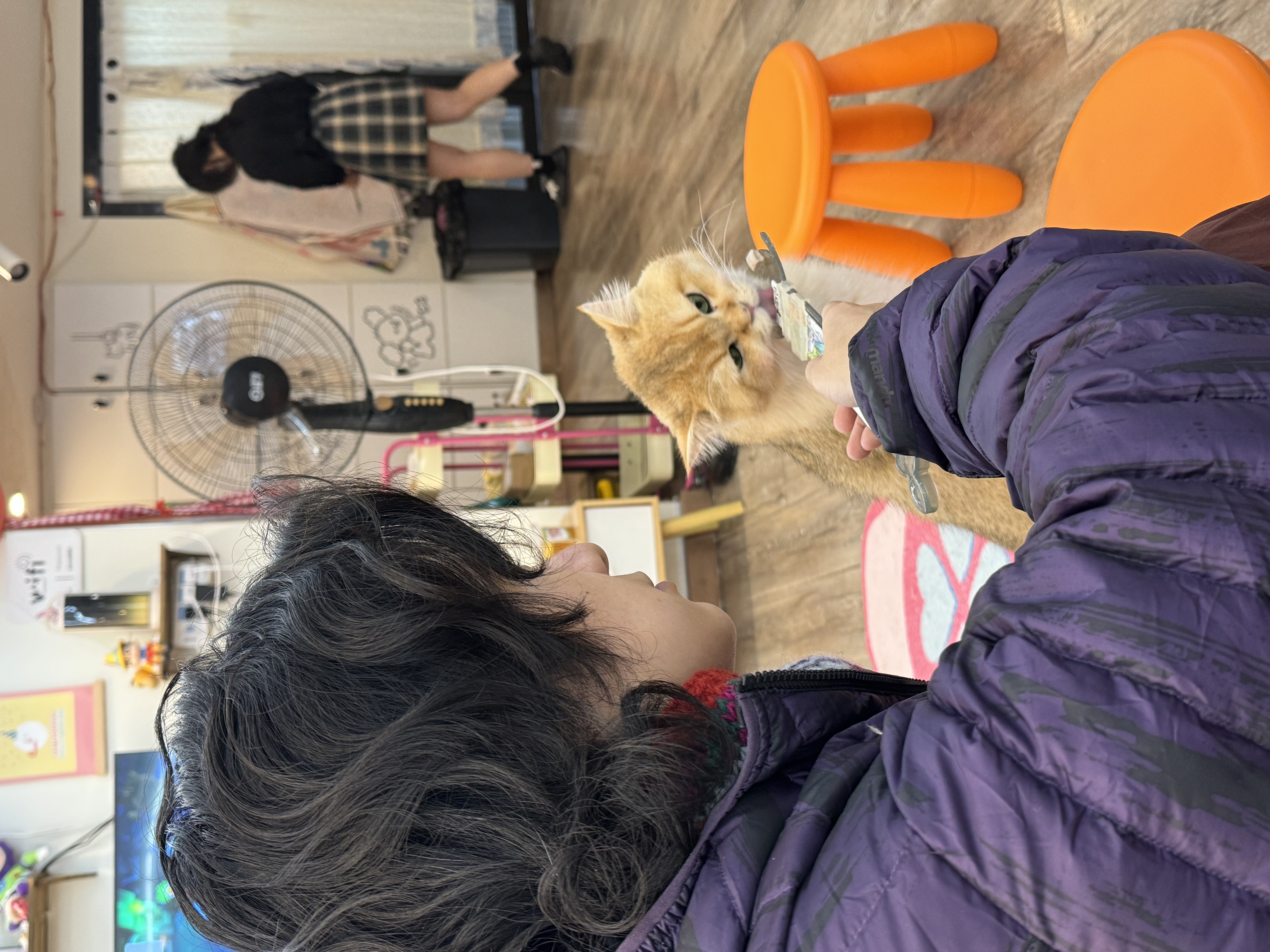 image-4