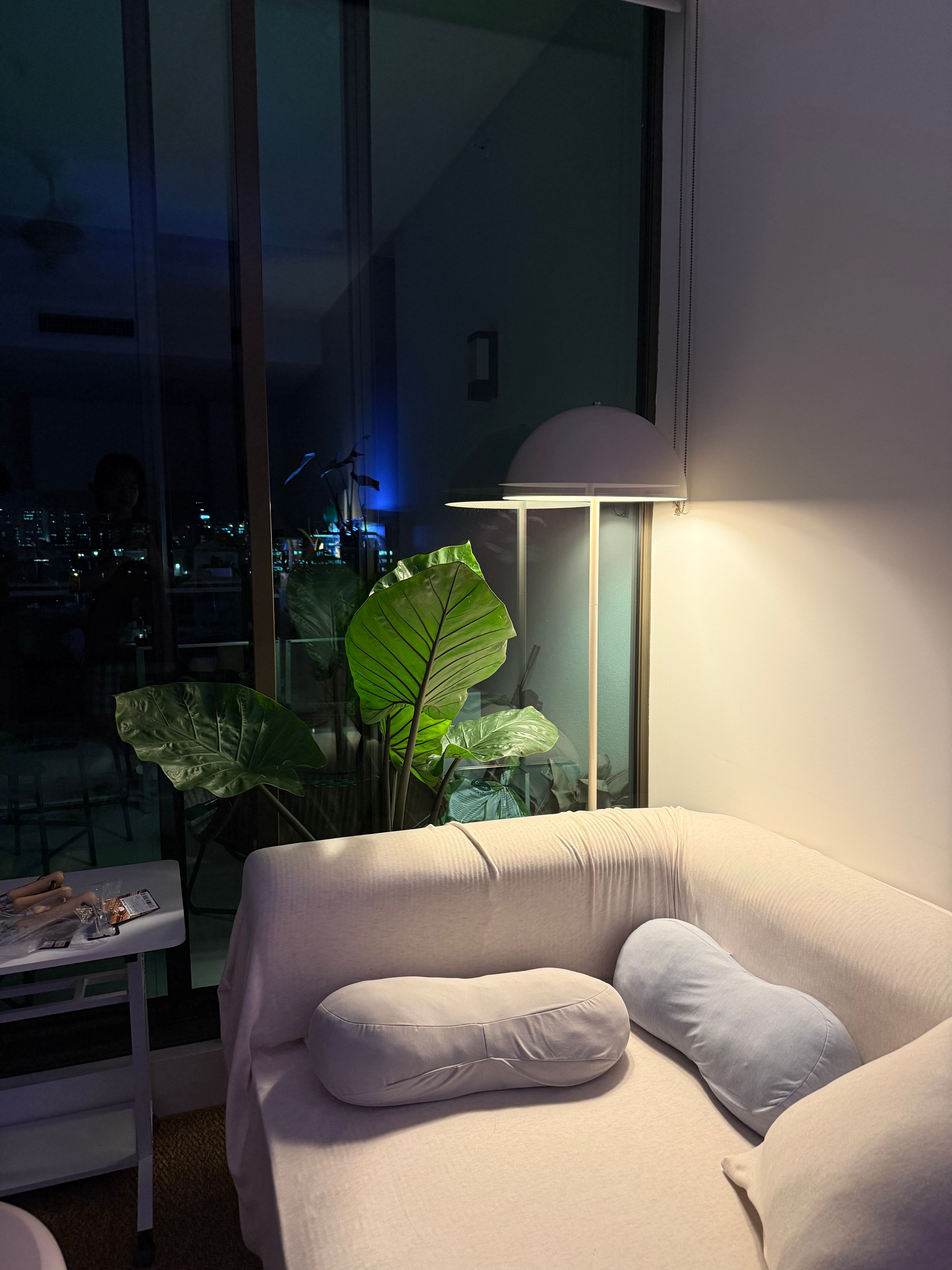 image-7