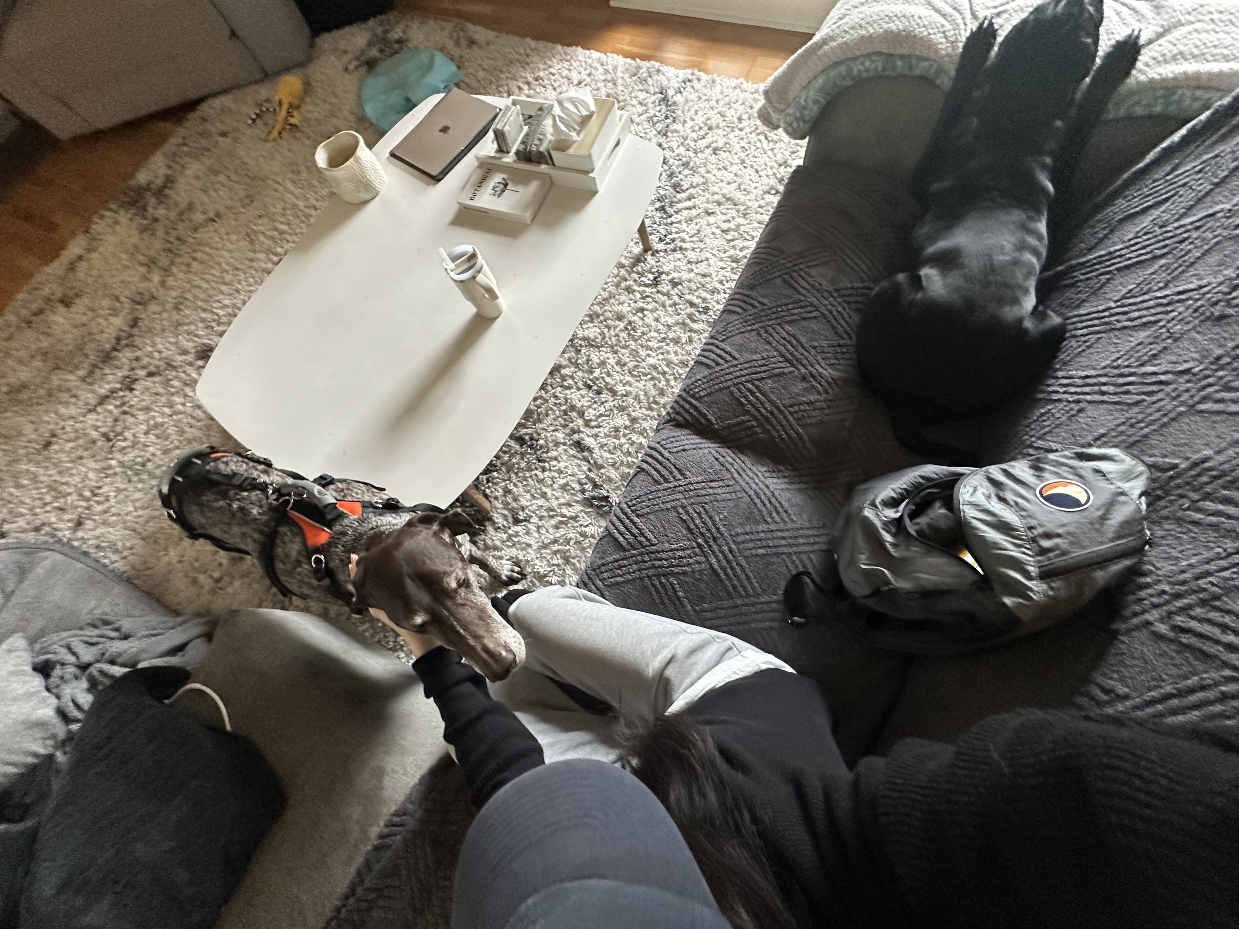 image-10