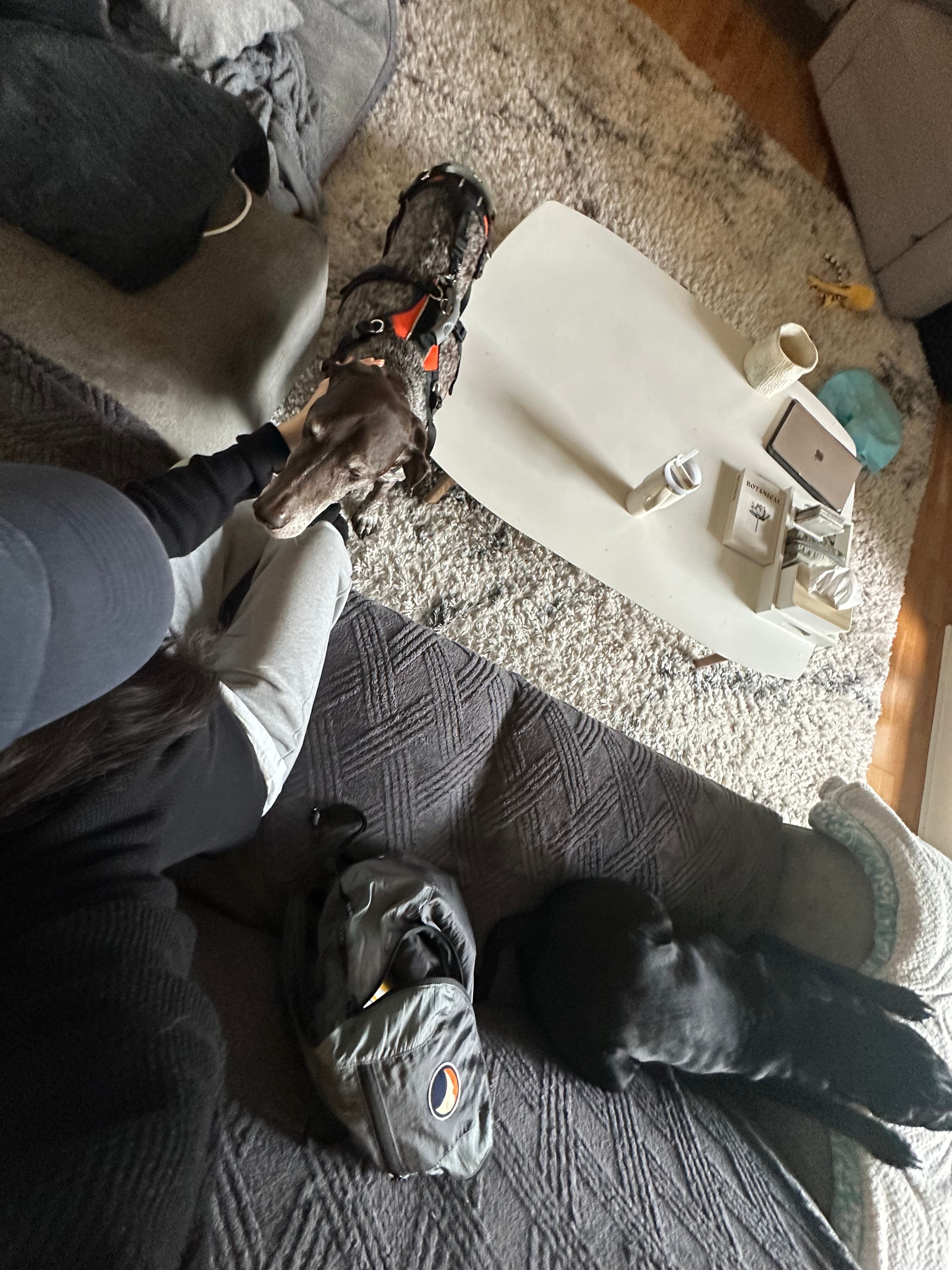 image-10