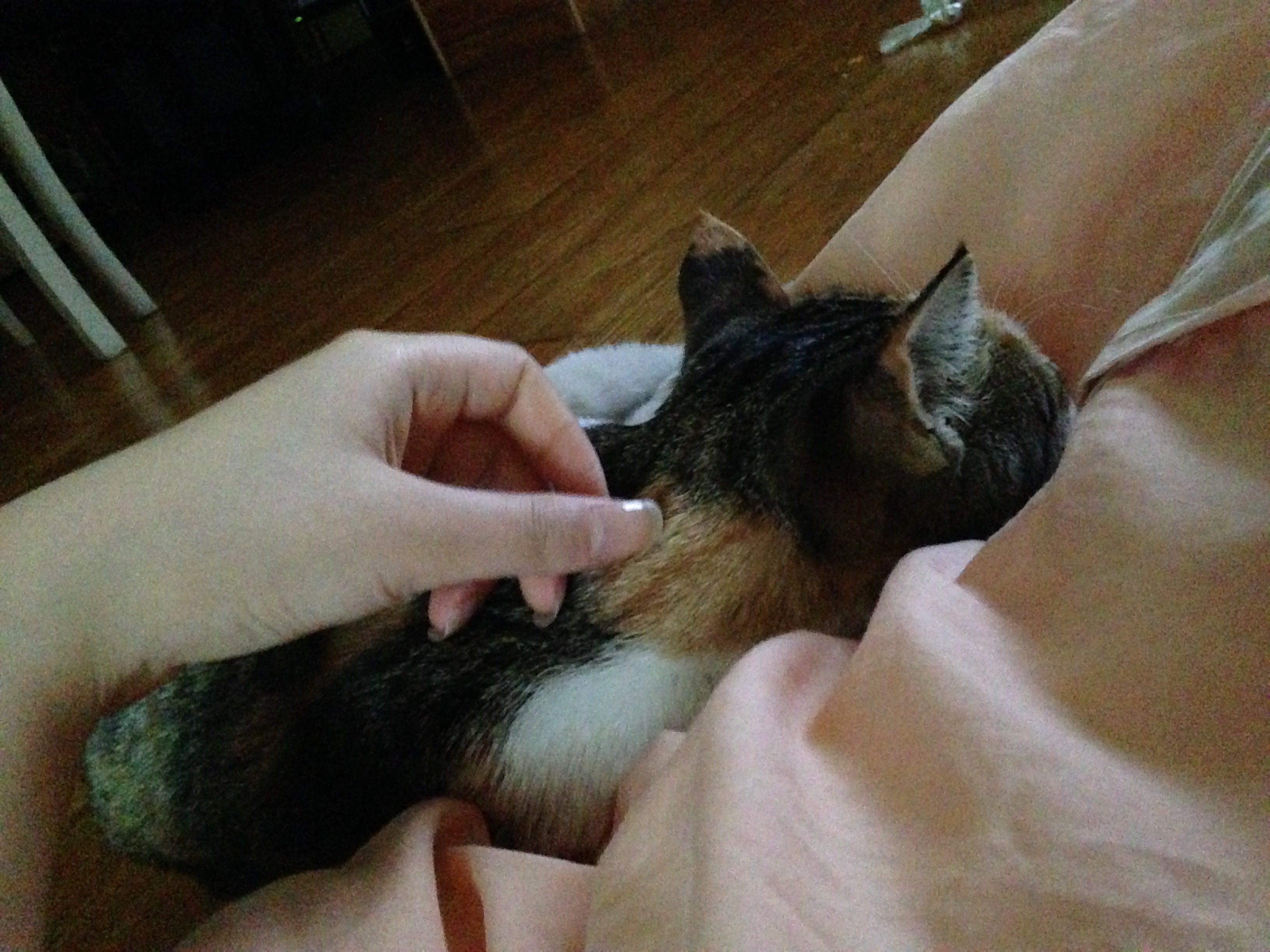 image-7