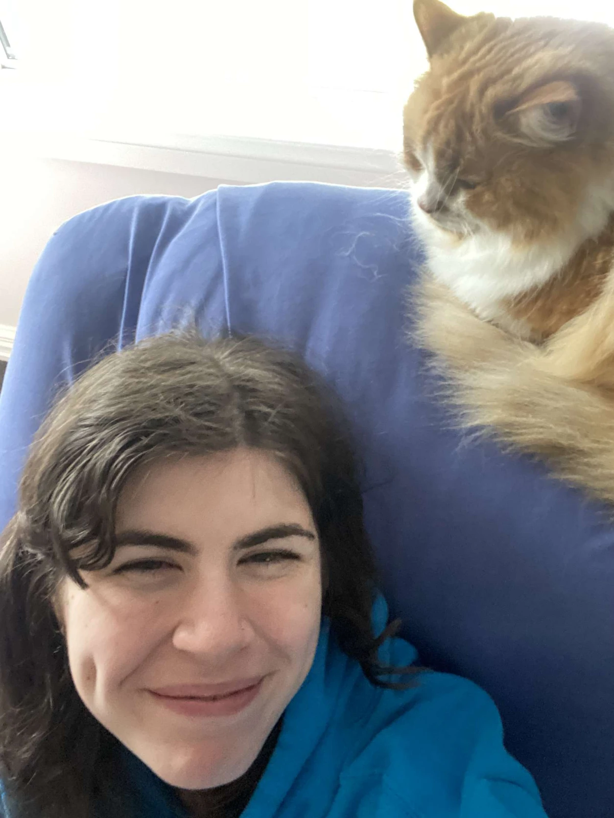 image-8