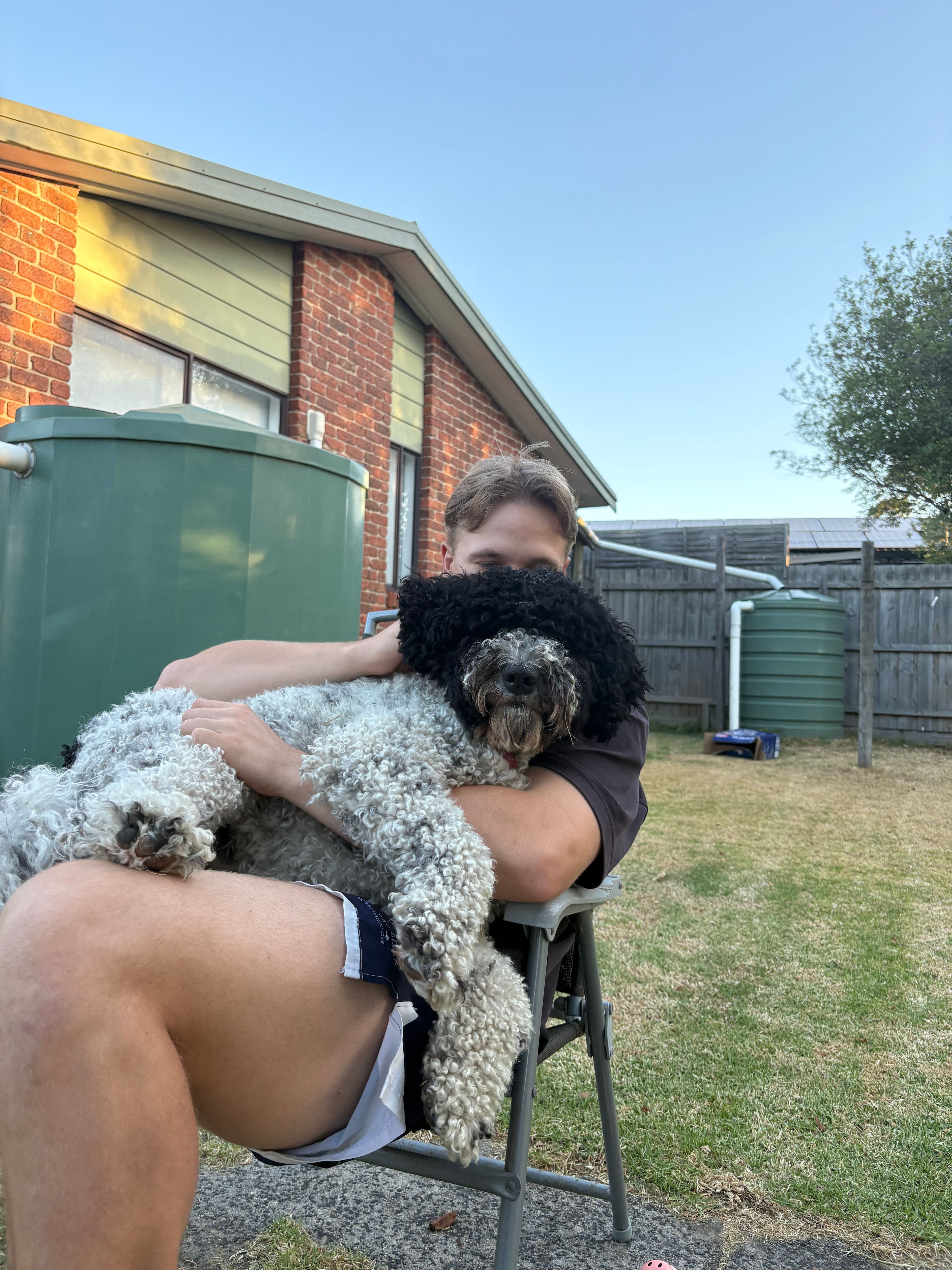 image-8