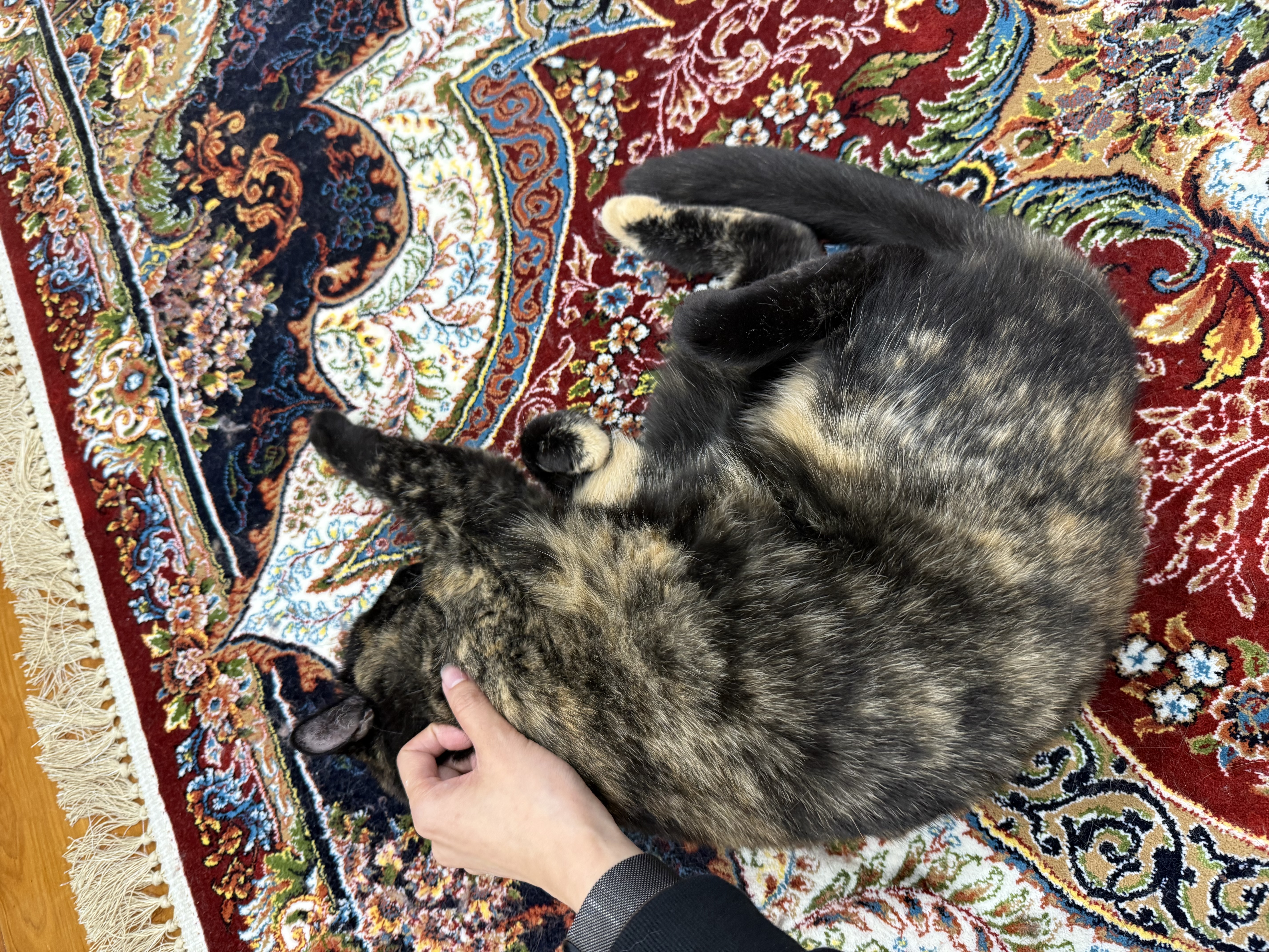 image-17