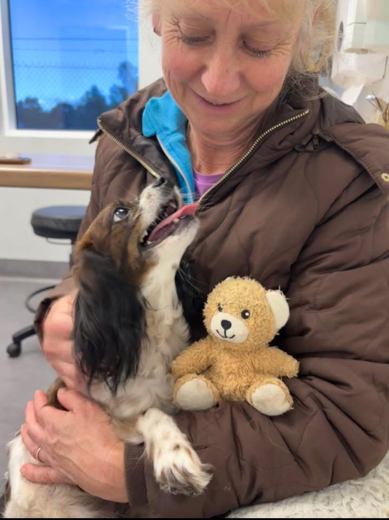 image-2