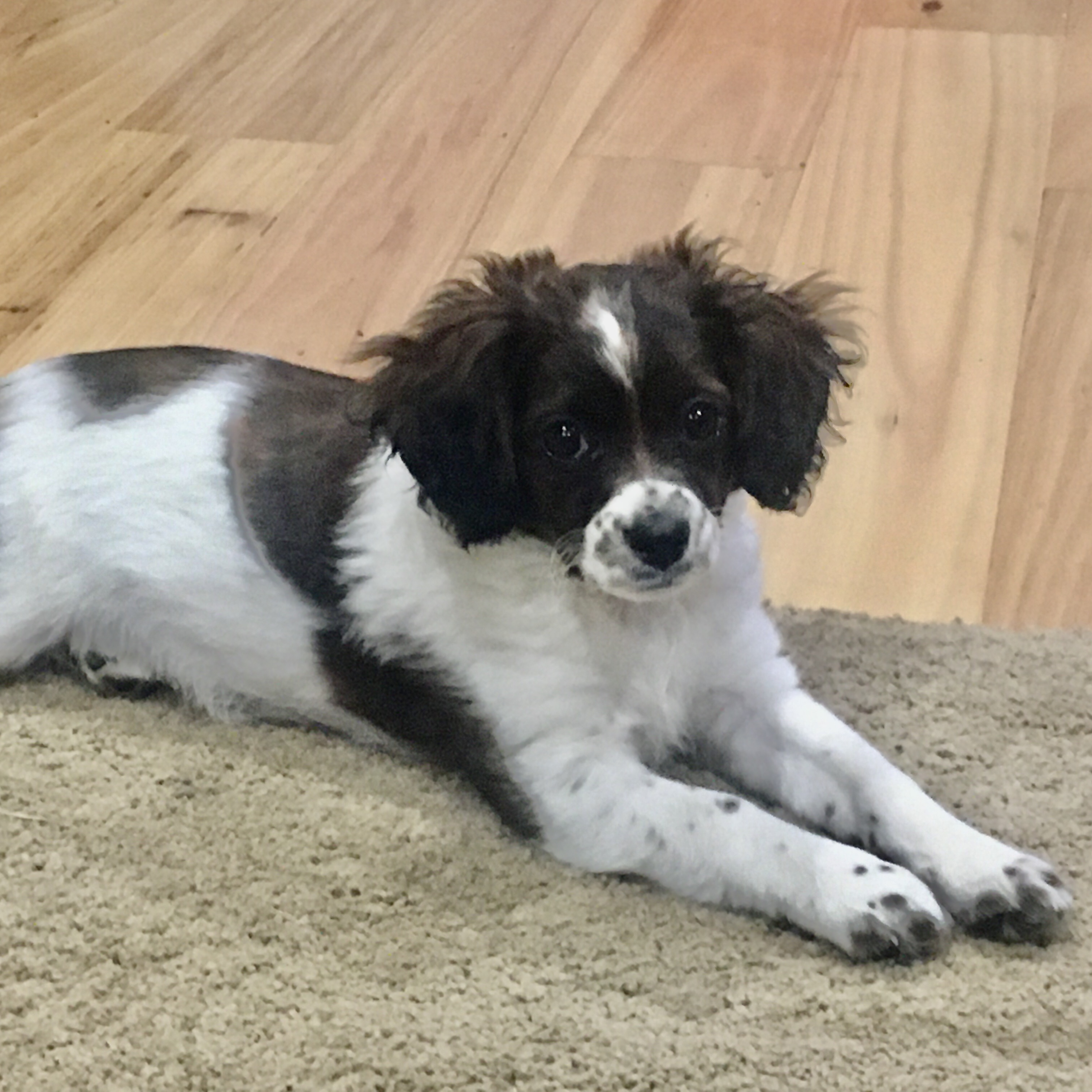 Luna