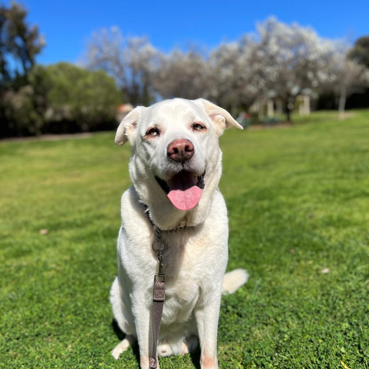 Doug