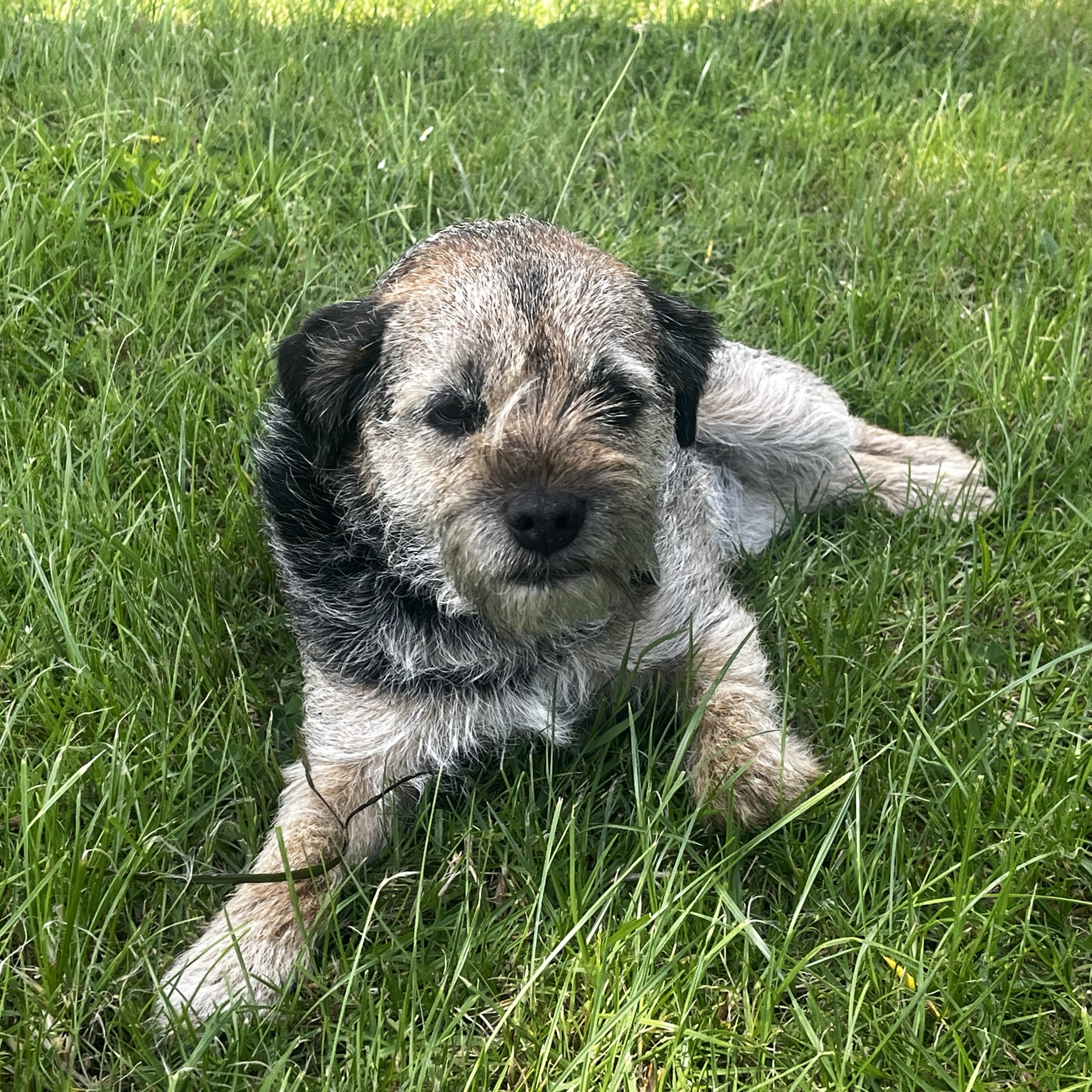 Chase