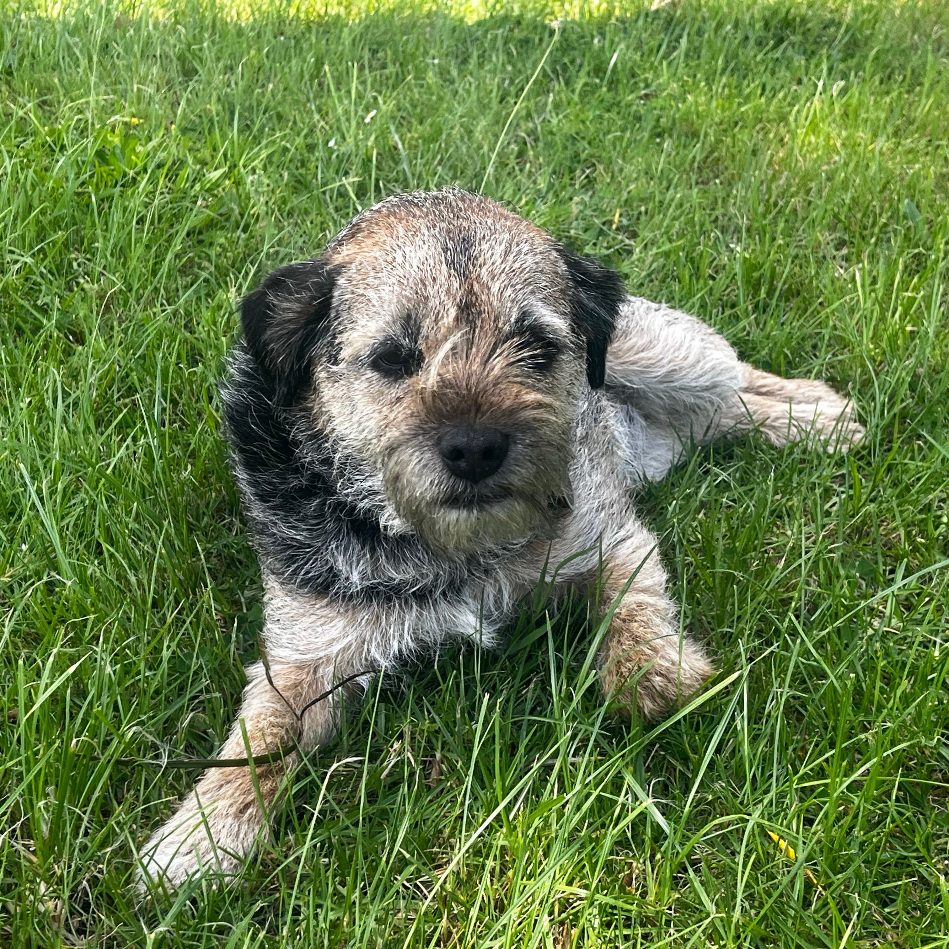Chase
