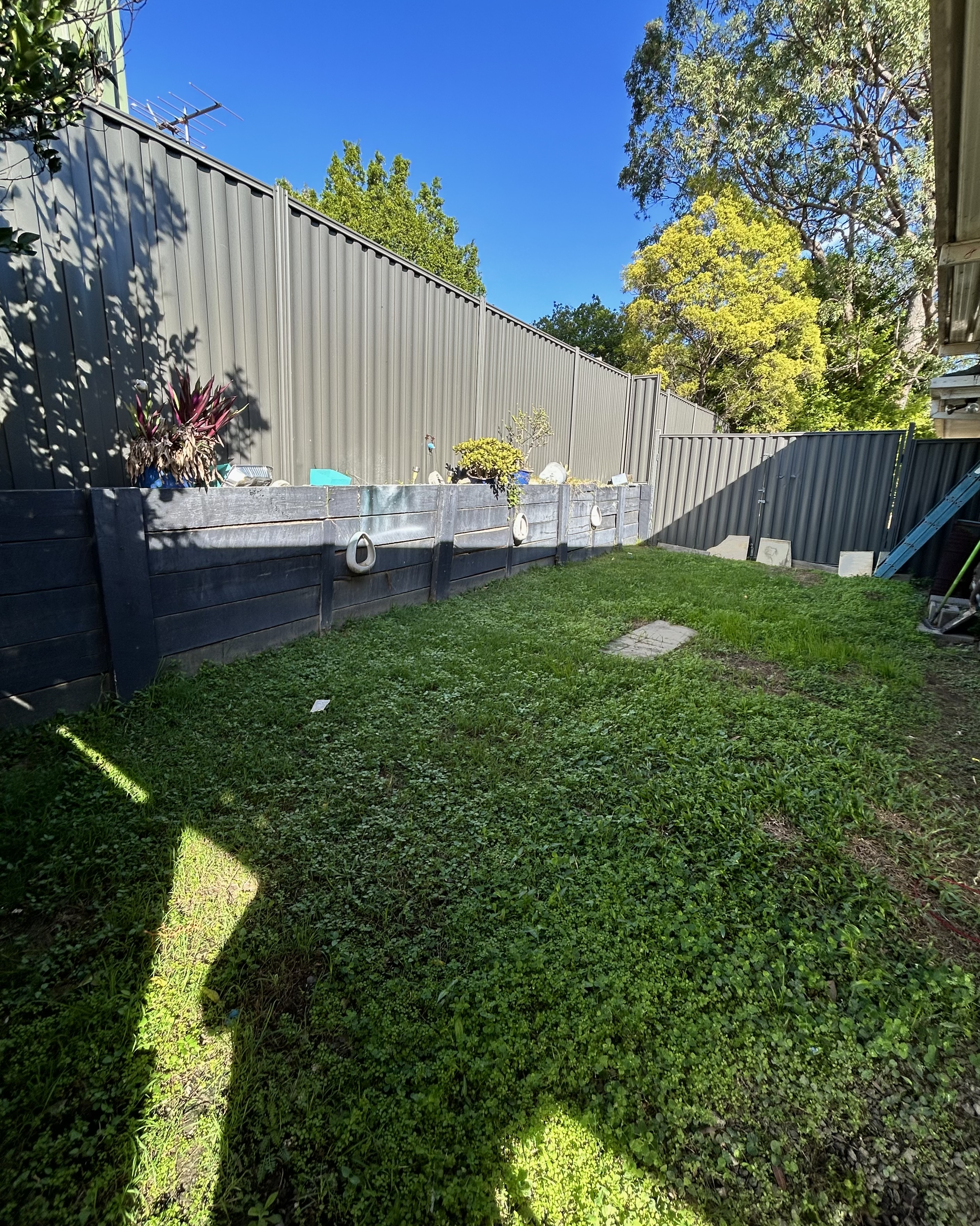 image-14