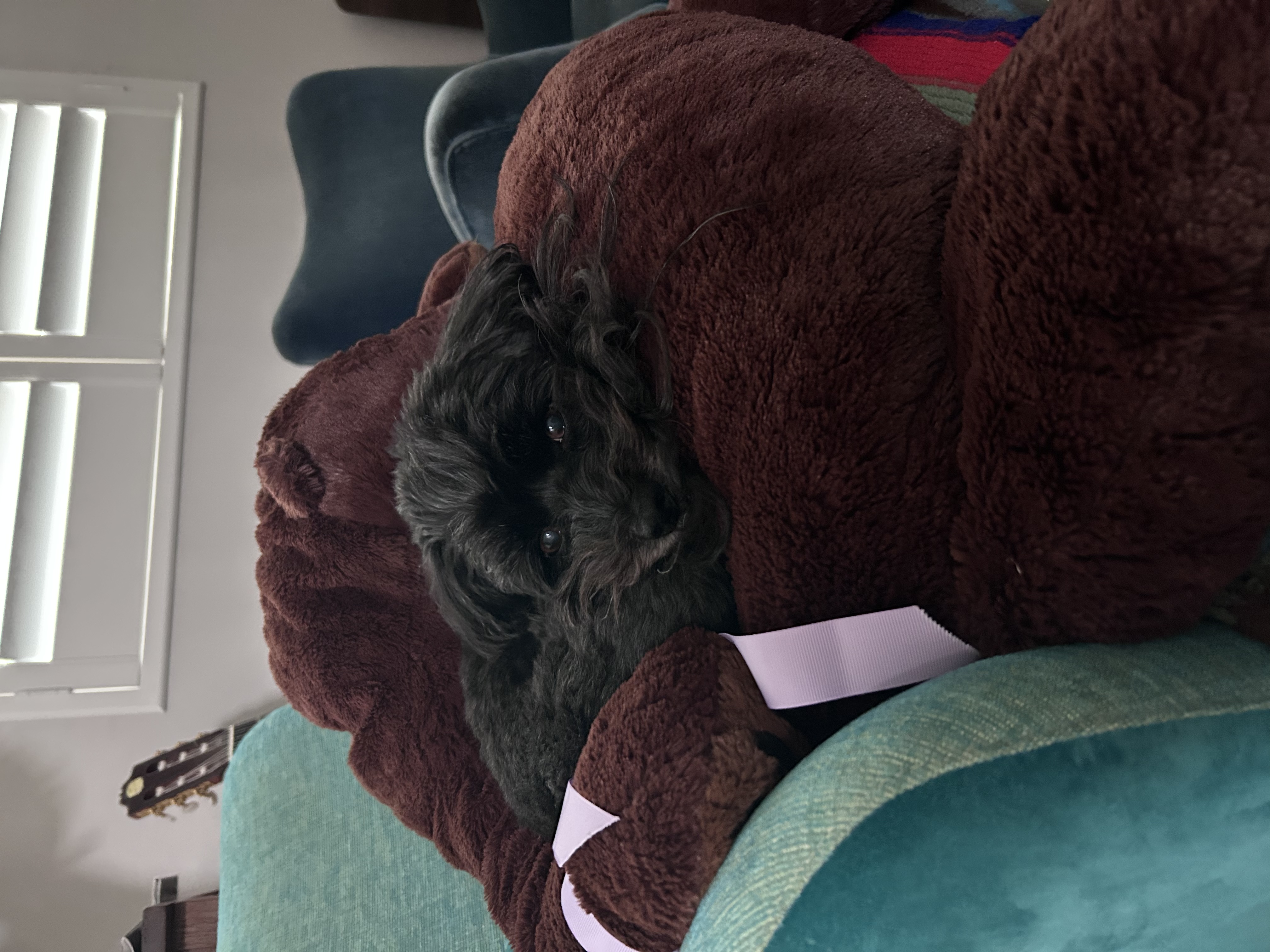 image-6